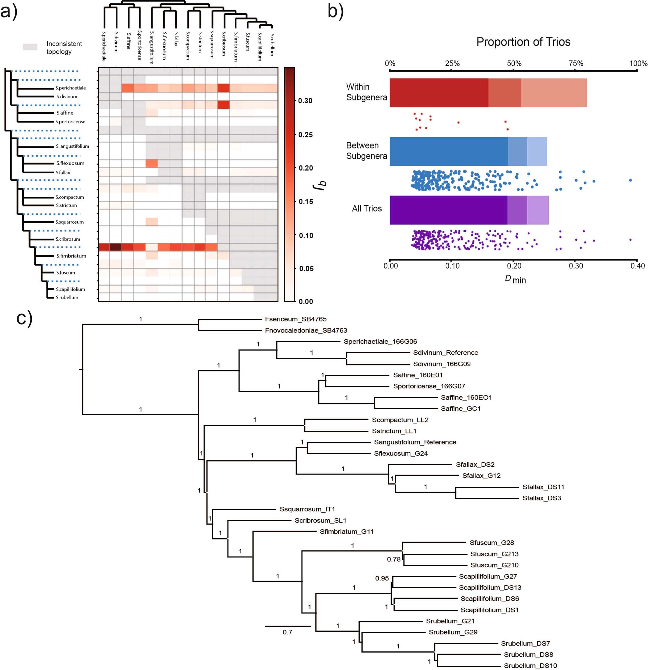 Extended Data Fig. 2: Sphagnum phylogenetics and introgression.