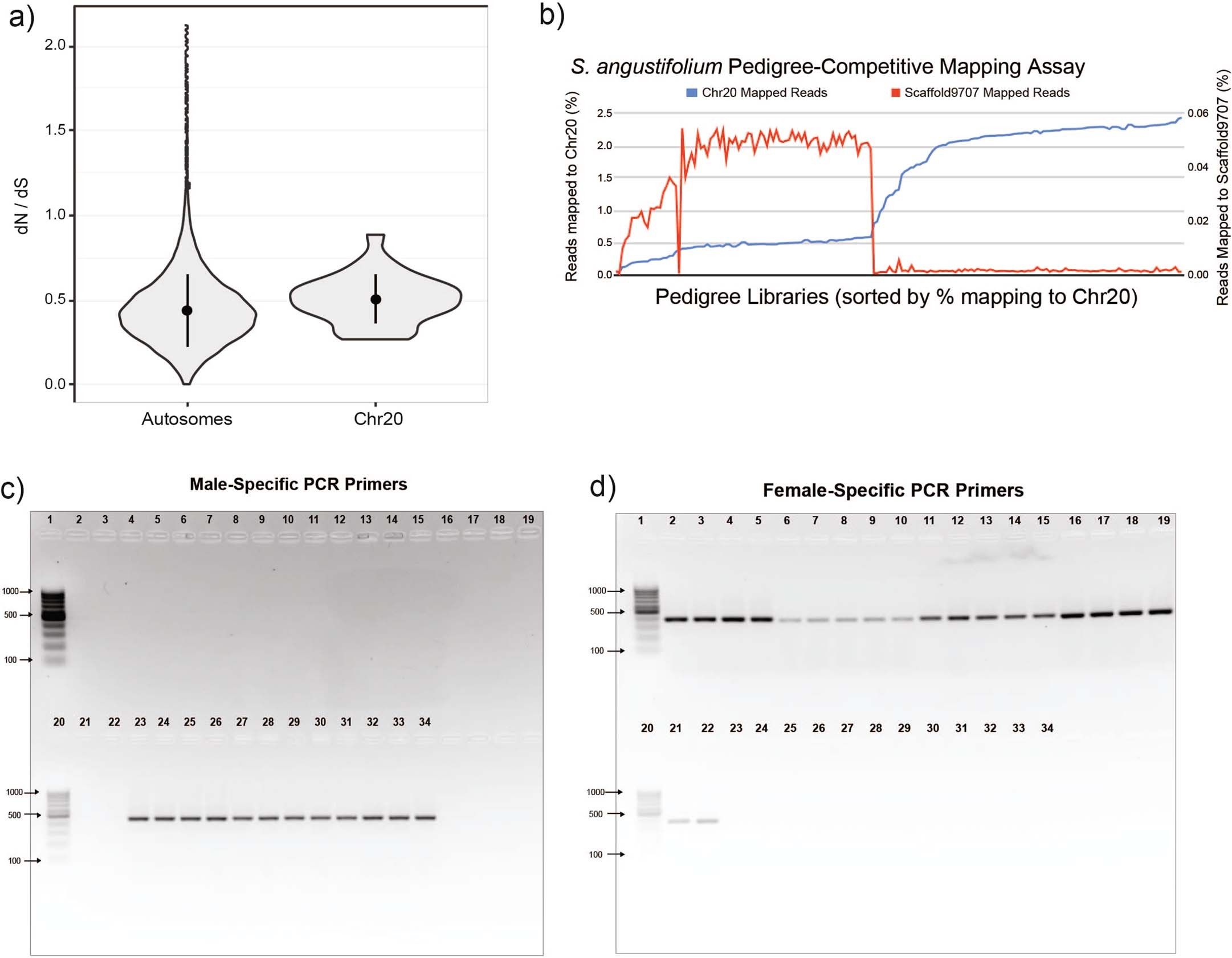 Extended Data Fig. 3: Analysis of Chr20 as a sex chromosome.
