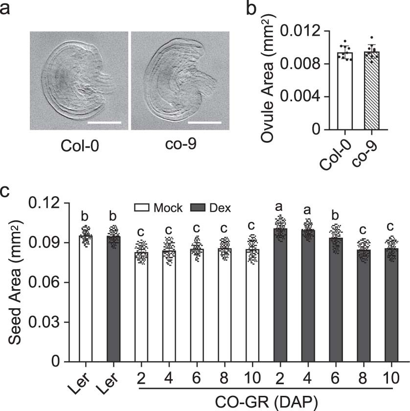 Extended Data Fig. 6: CO functions in early stage of seed development under LDs.