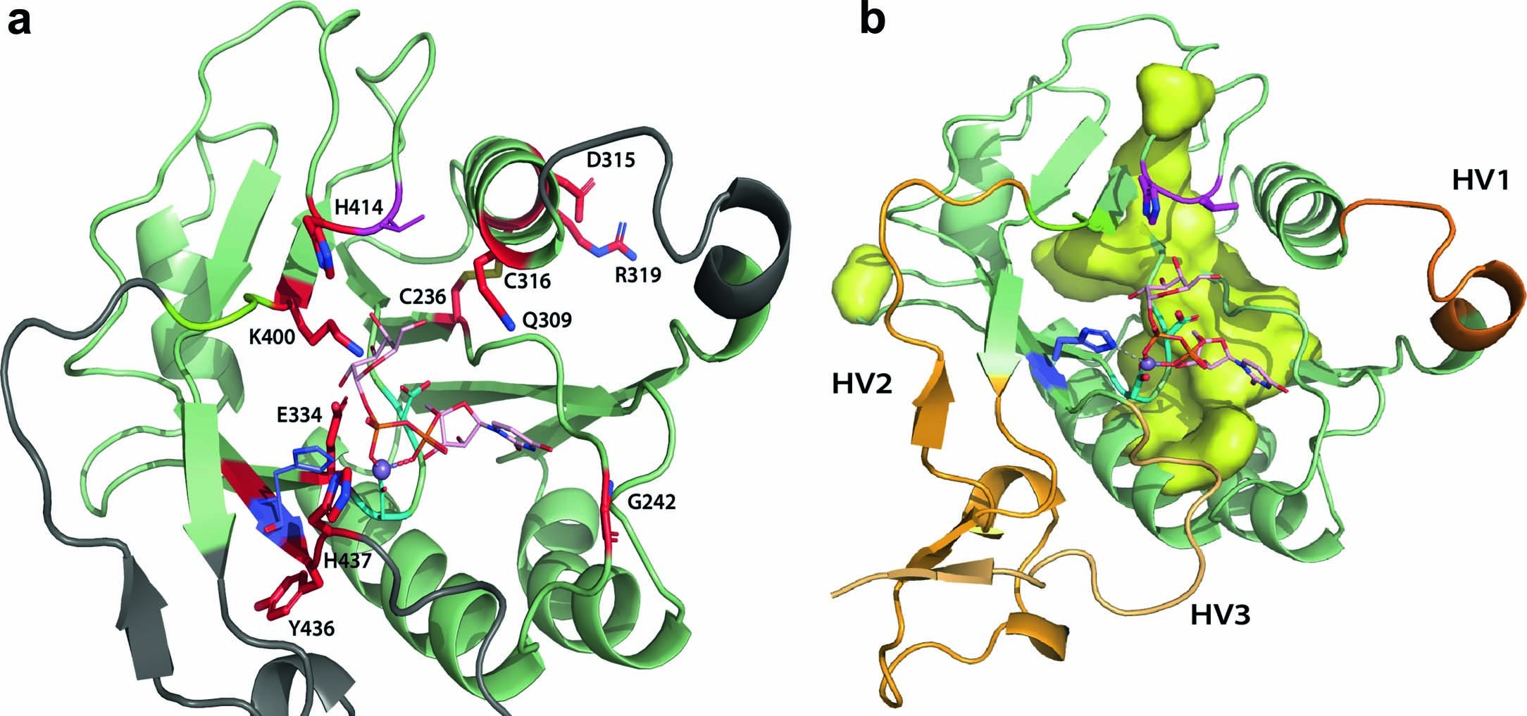 Extended Data Fig. 7