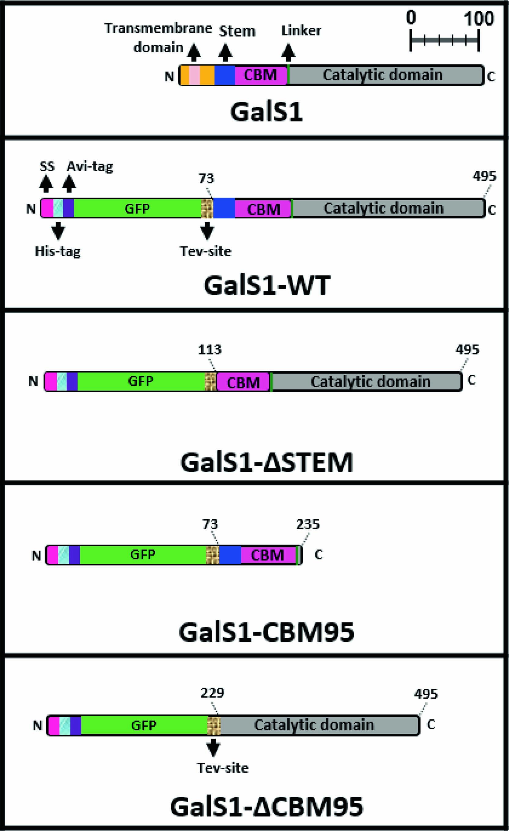 Extended Data Fig. 2