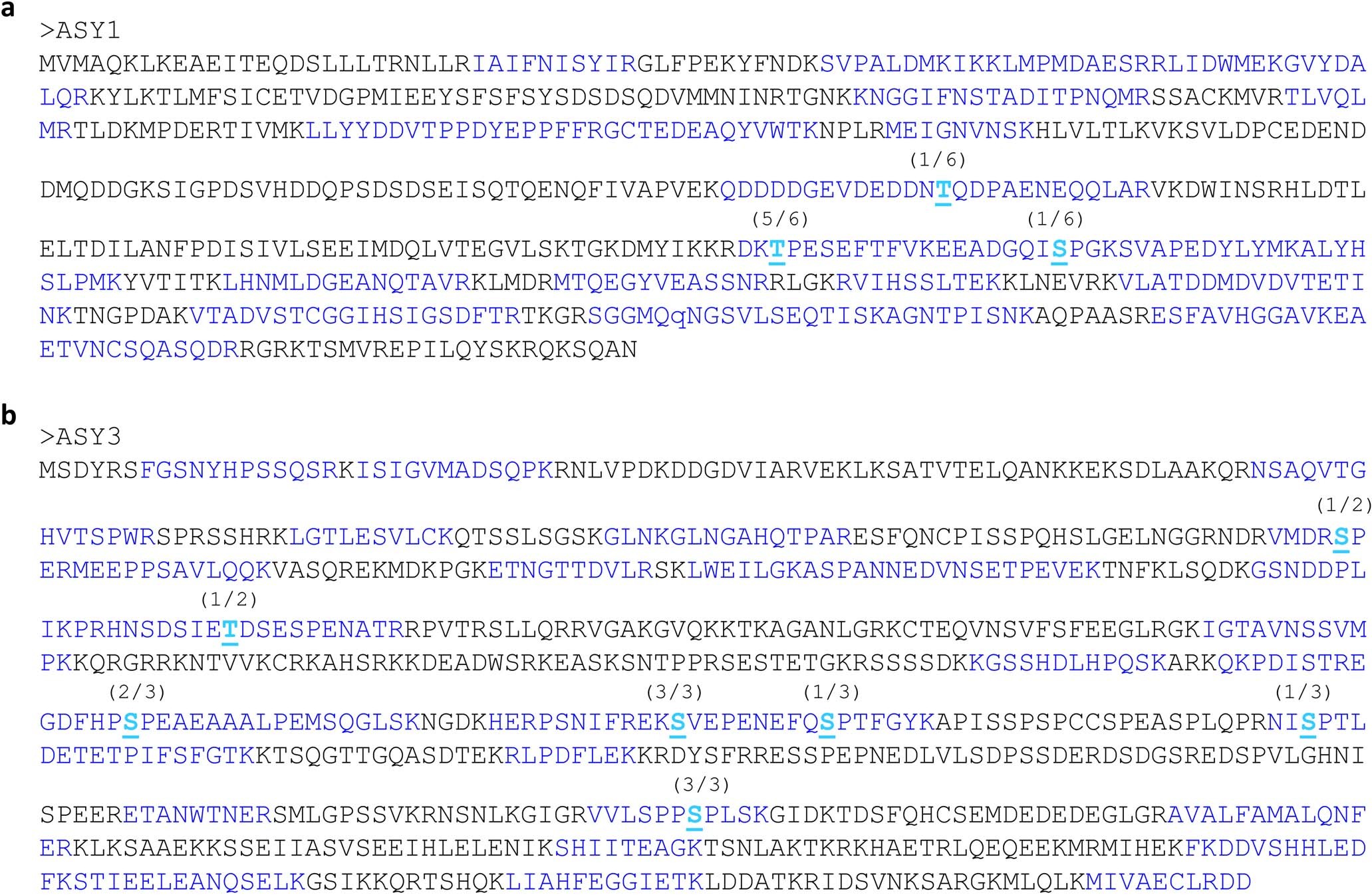 Extended Data Fig. 6: Peptide coverage of ASY1 and ASY3 and in planta phosphorylated residues.