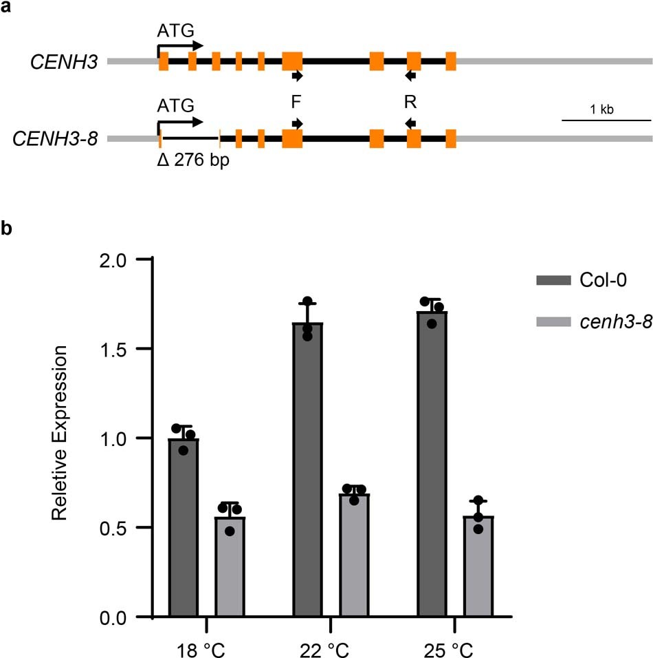 Extended Data Fig. 6