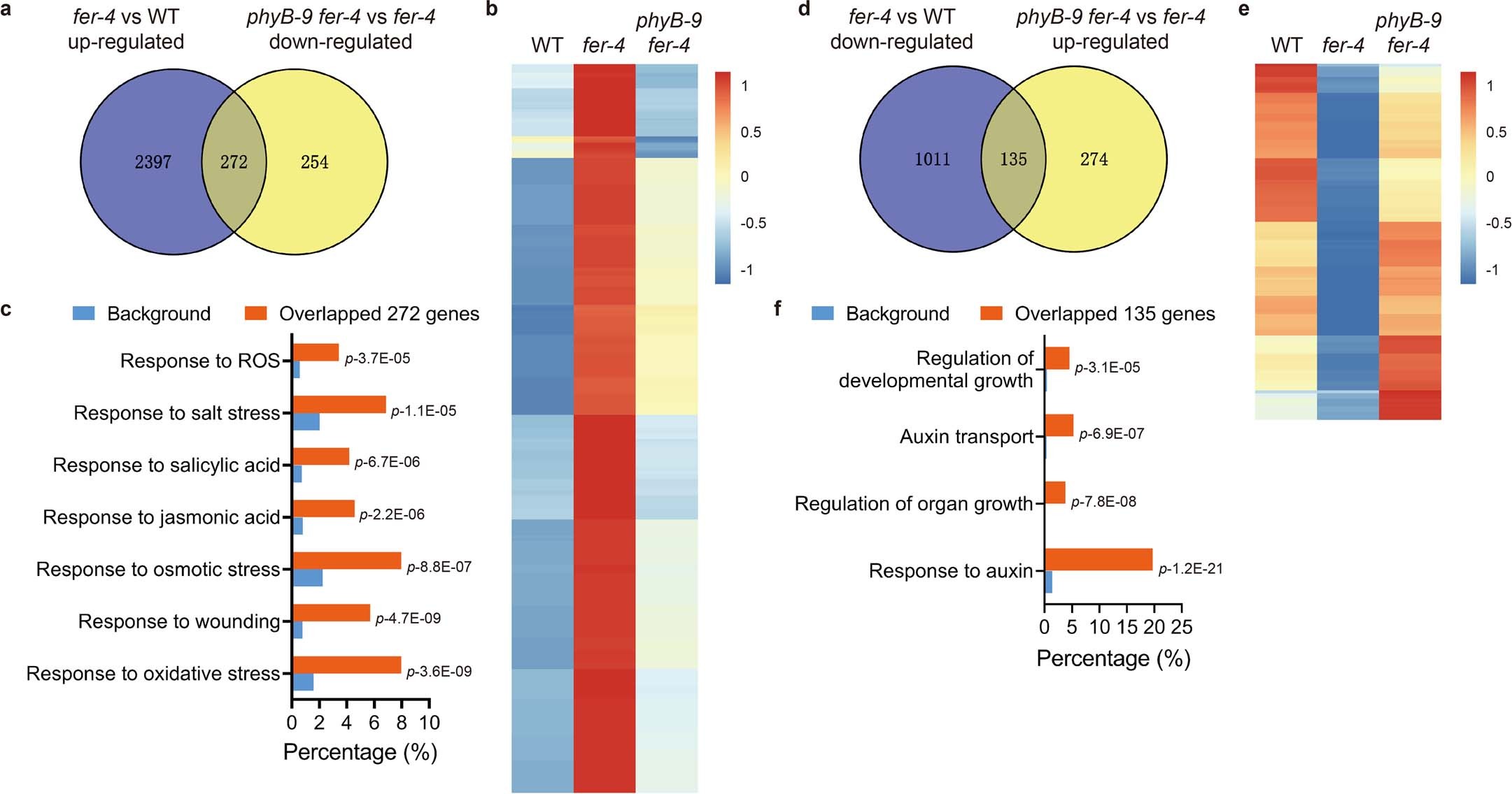 Extended Data Fig. 4: Transcriptomic profiling reveals that FER regulates a subset of gene expression via phyB.