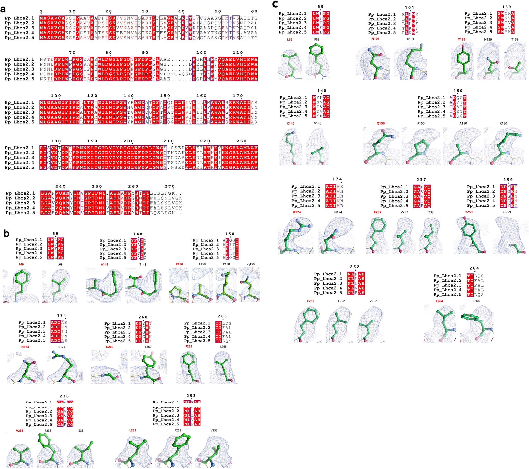 Extended Data Fig. 5