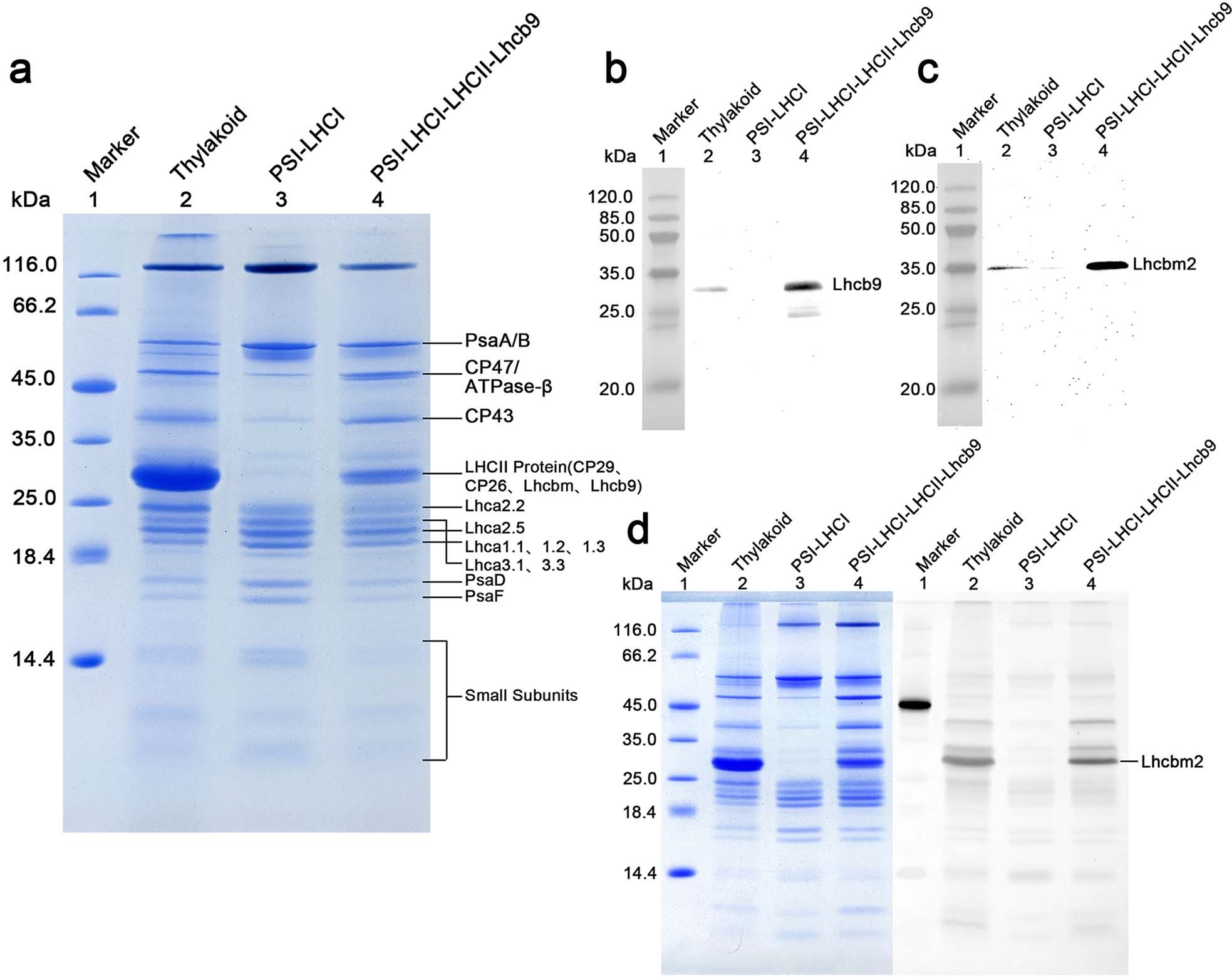 Extended Data Fig. 1