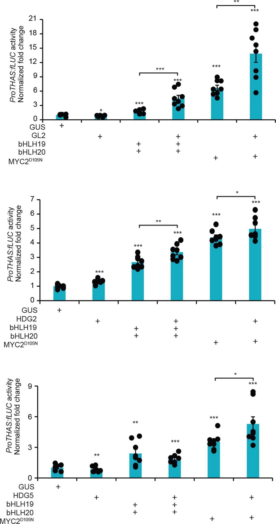 Extended Data Fig. 8: Homeodomain glabrous proteins coactivate the transcription of the THAS promoter.