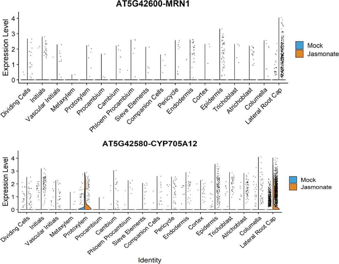 Extended Data Fig. 2