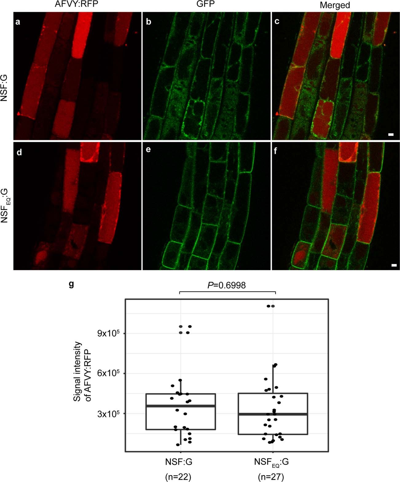 Extended Data Fig. 6