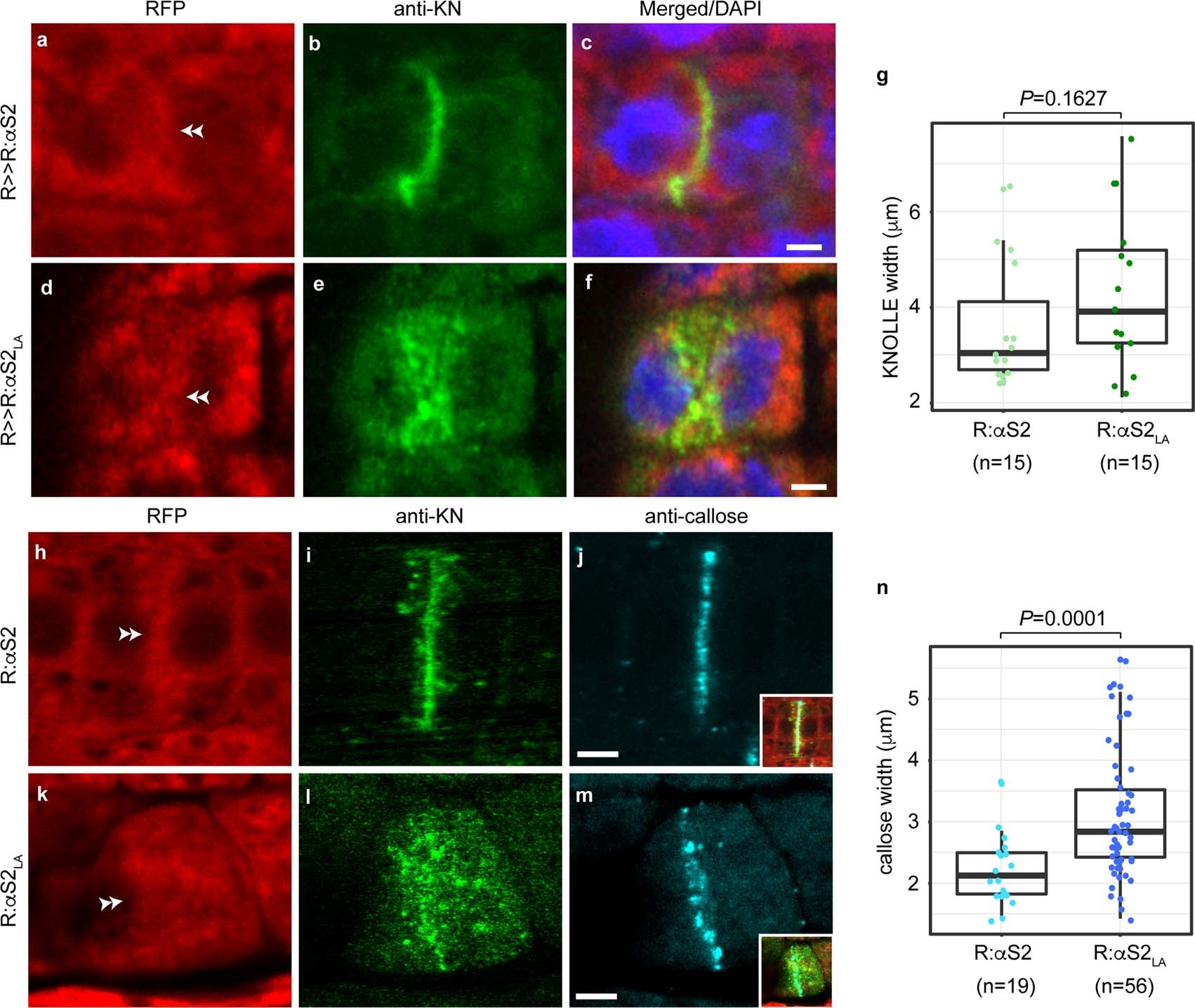 Extended Data Fig. 8