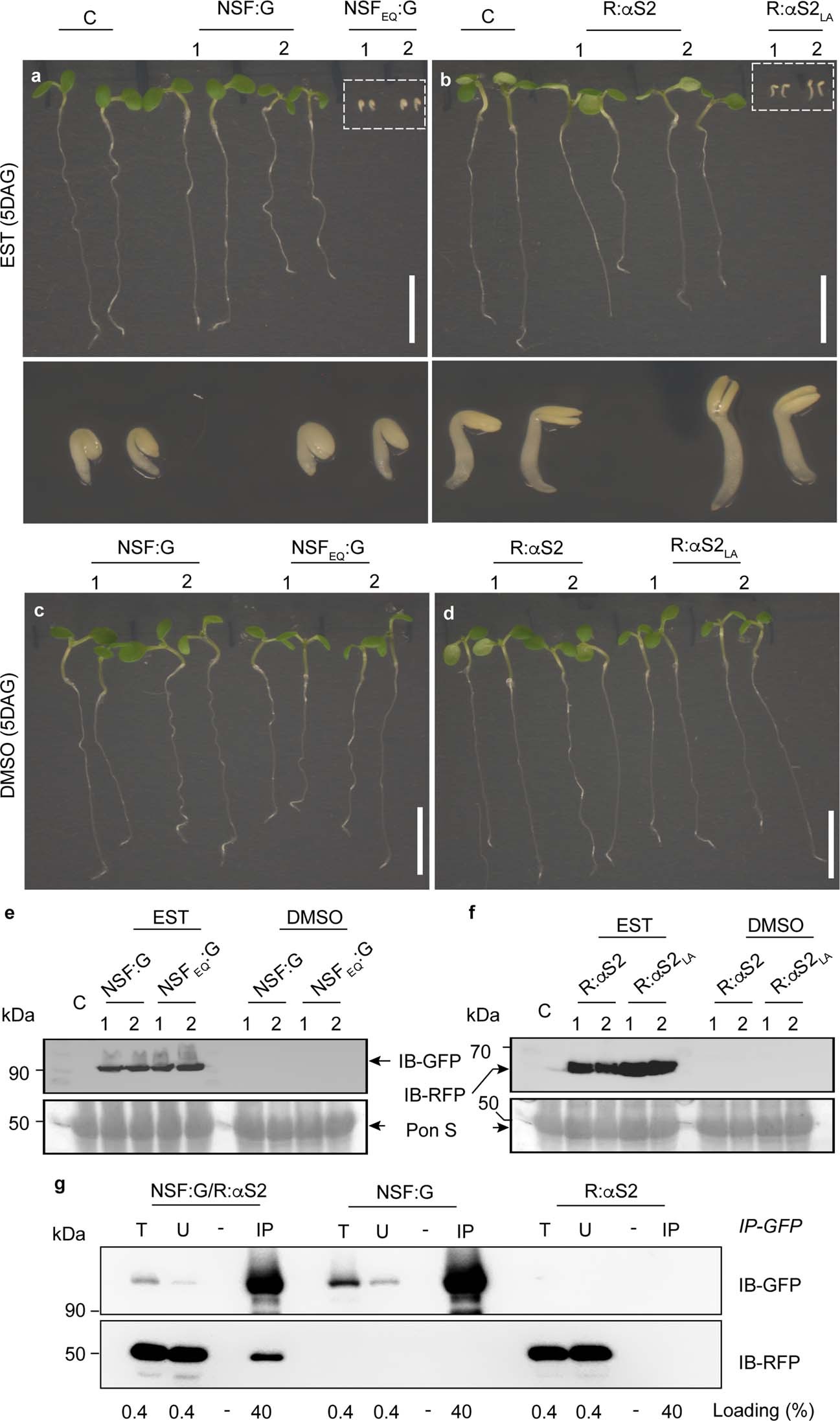 Extended Data Fig. 3