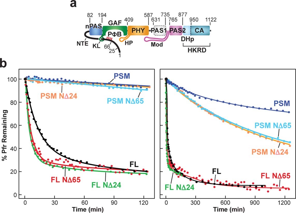 Extended Data Fig. 6