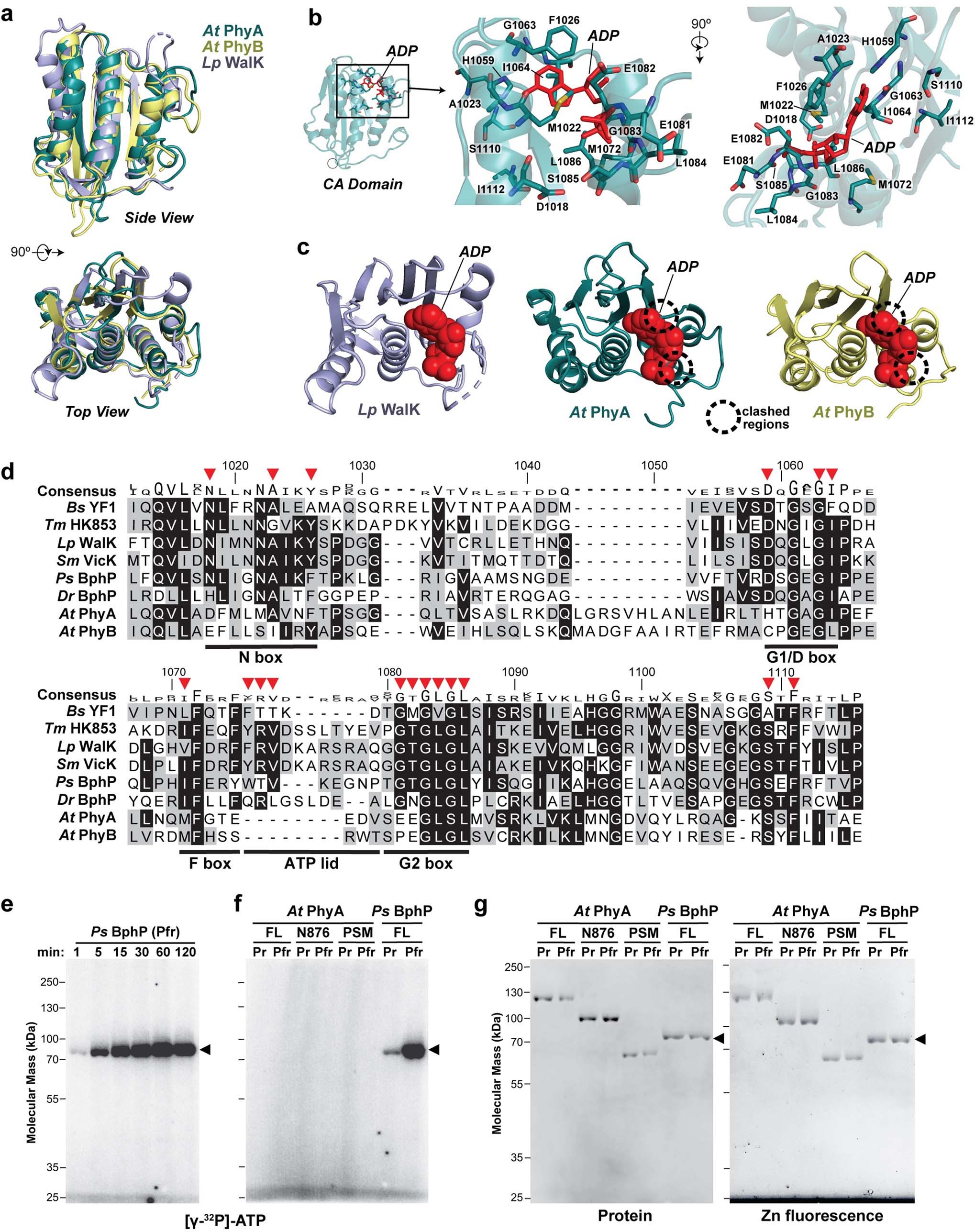 Extended Data Fig. 7