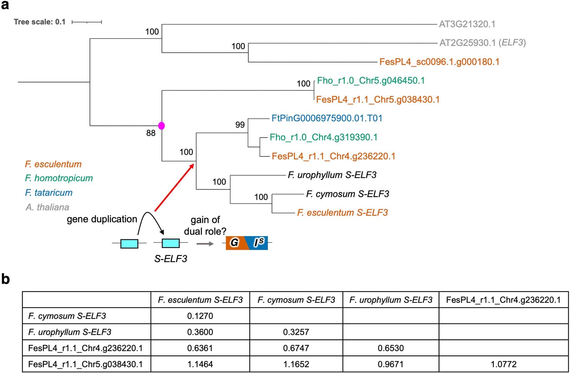 Extended Data Fig. 9: Molecular evolutionary analyses of S-ELF3.