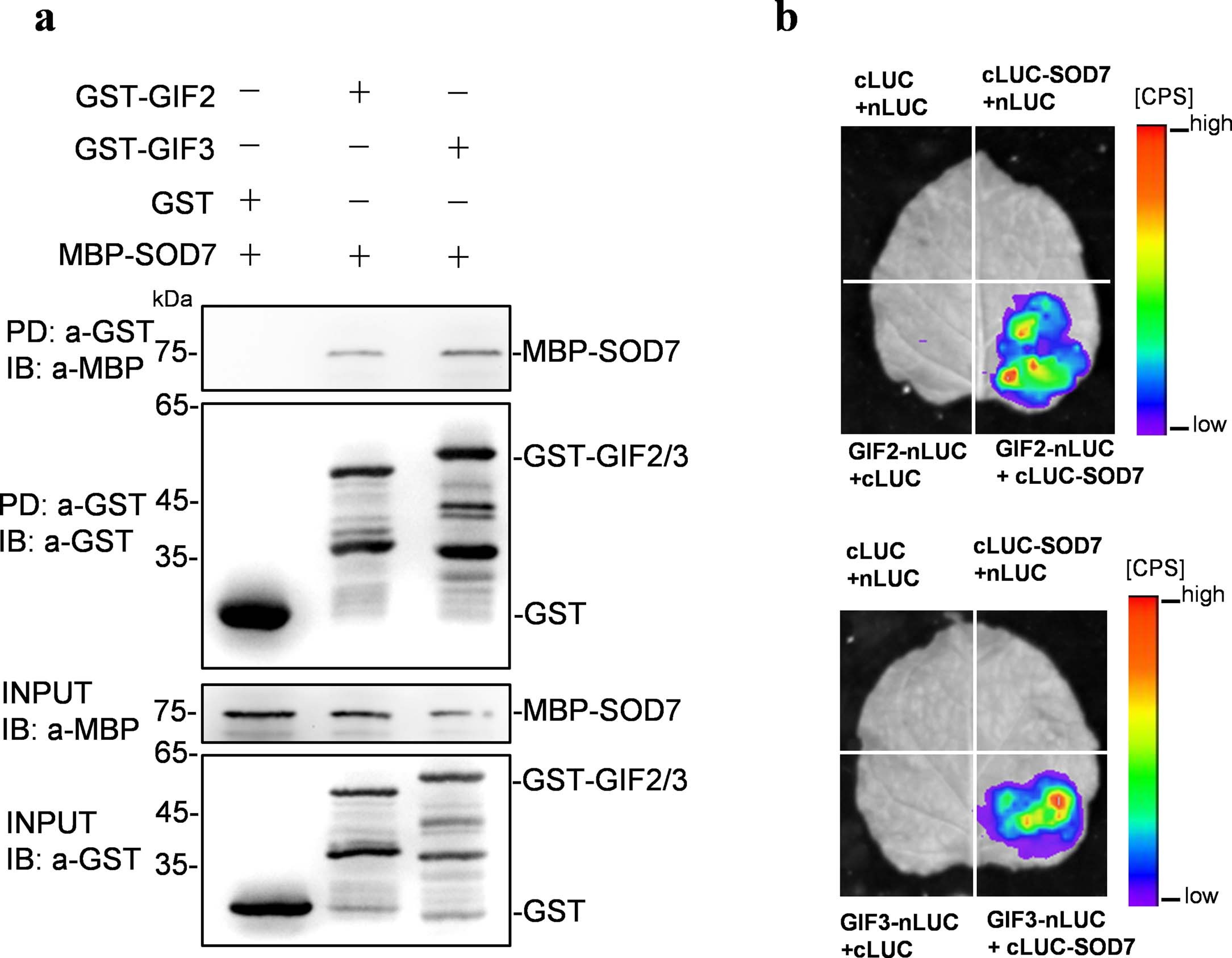 Extended Data Fig. 1