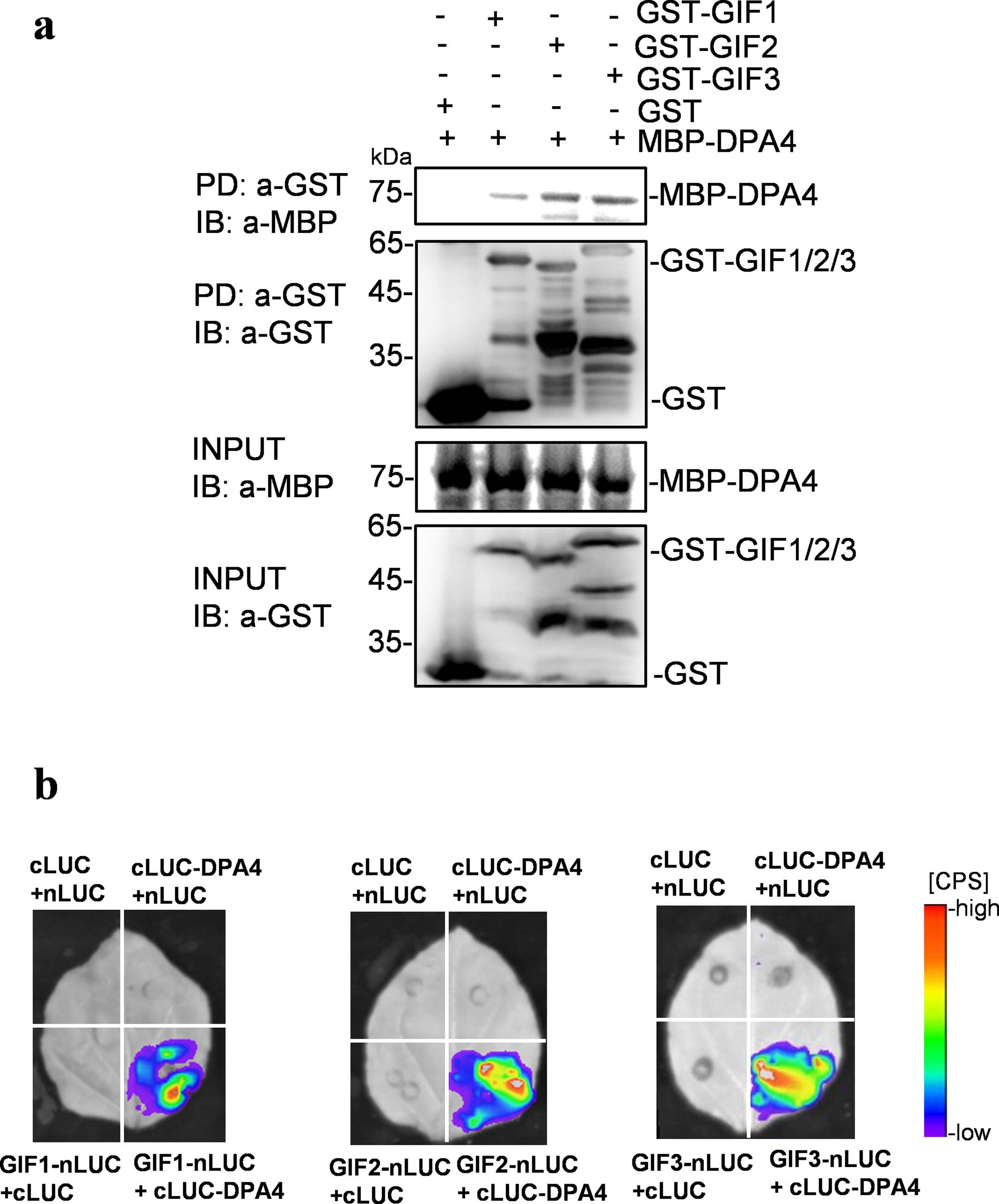 Extended Data Fig. 2