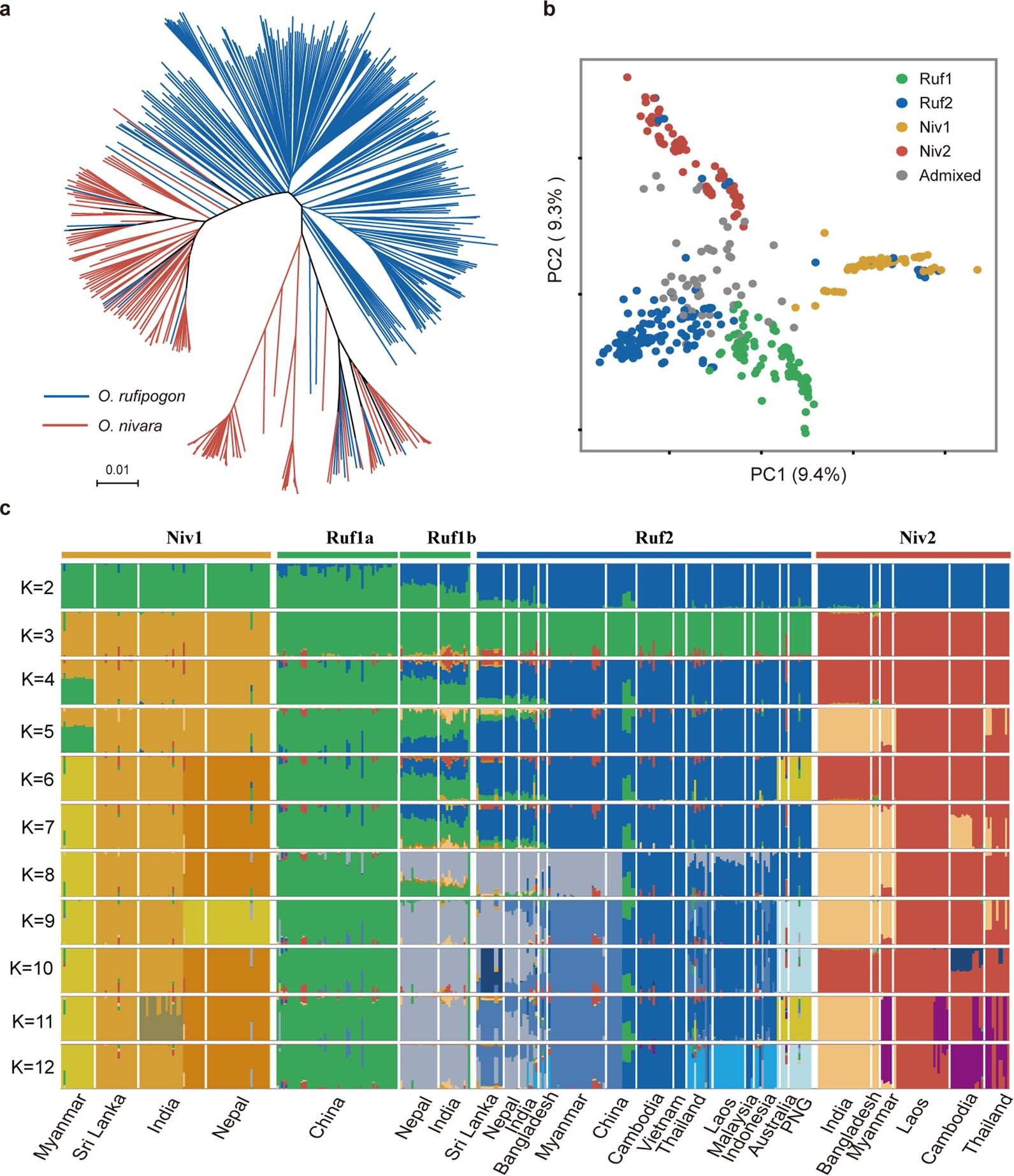 Extended Data Fig. 2: Analyses of population genetic structure of two wild rice species (O. rufipgon and O. nivara).