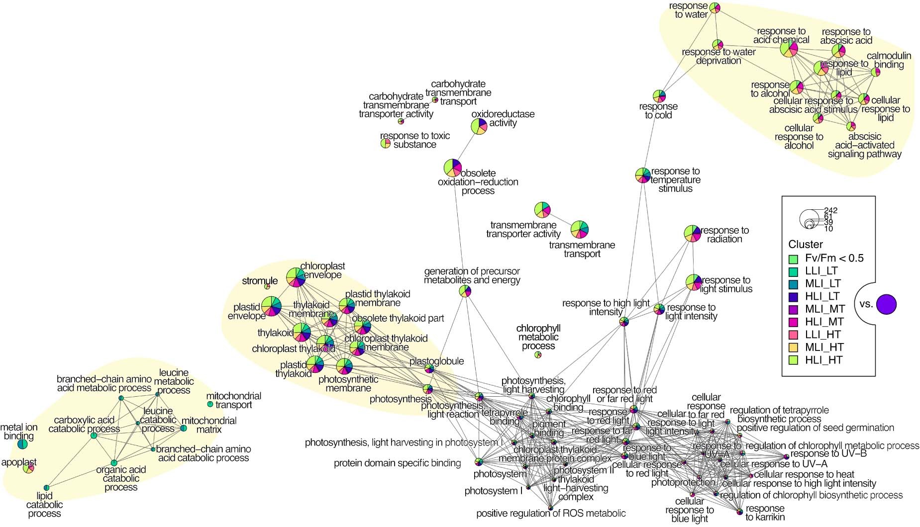 Extended Data Fig. 1: Biological theme comparison summarizing all GO term enrichment analysis with adjusted p value ≤ 0.01 of DEGs against all genes that were expressed and passed the filtering in our analyses as background.