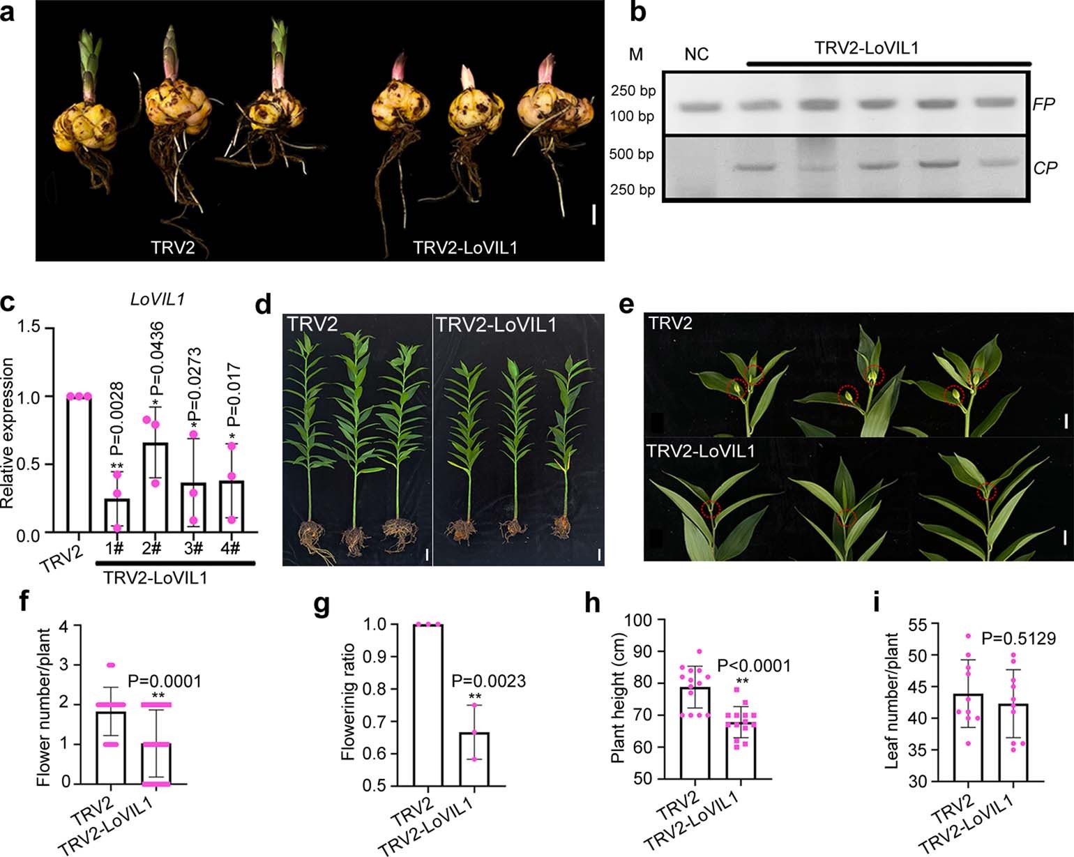 Extended Data Fig. 3