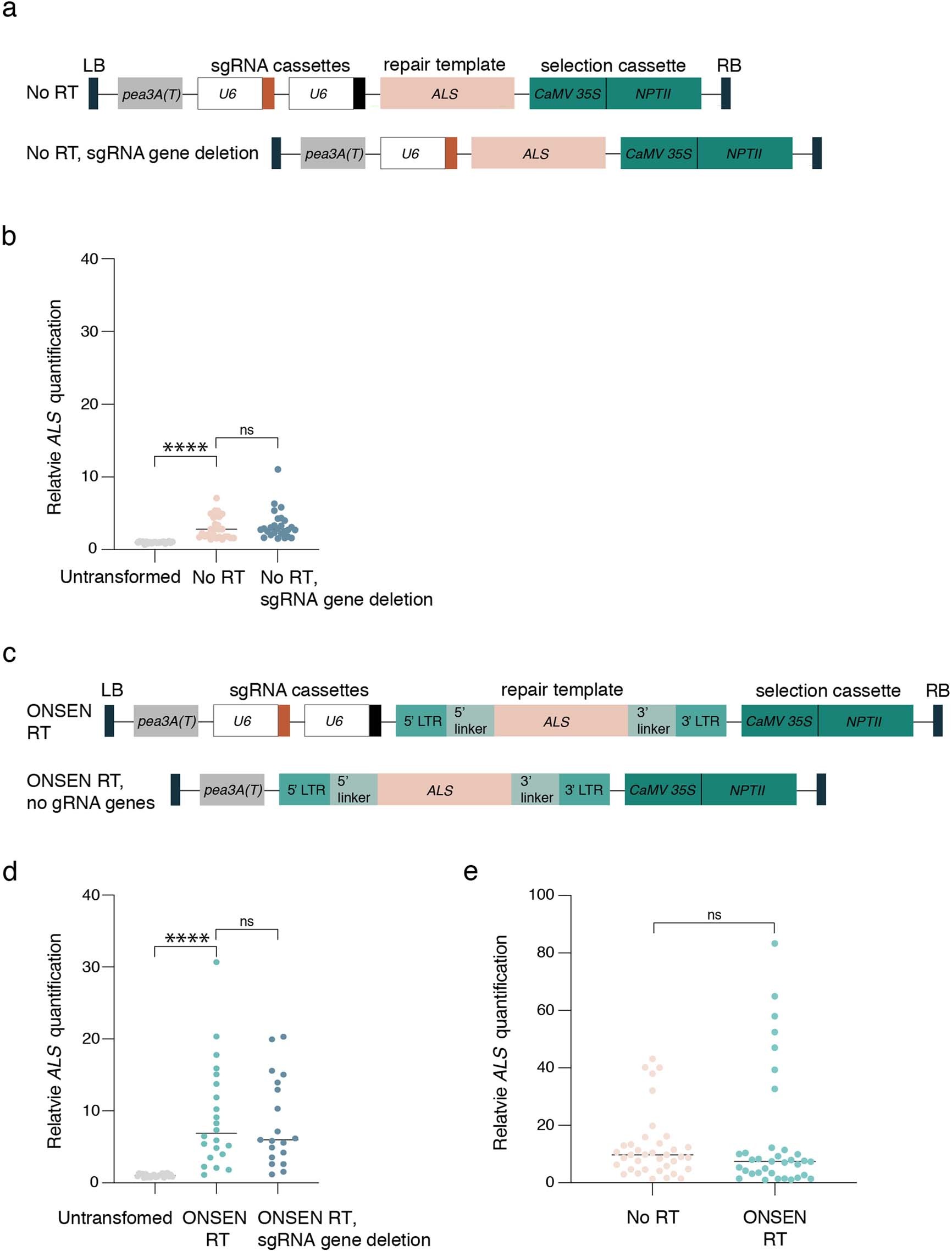 Extended Data Fig. 3: Repetitive sgRNA genes do not contribute to T-DNA concatenation.