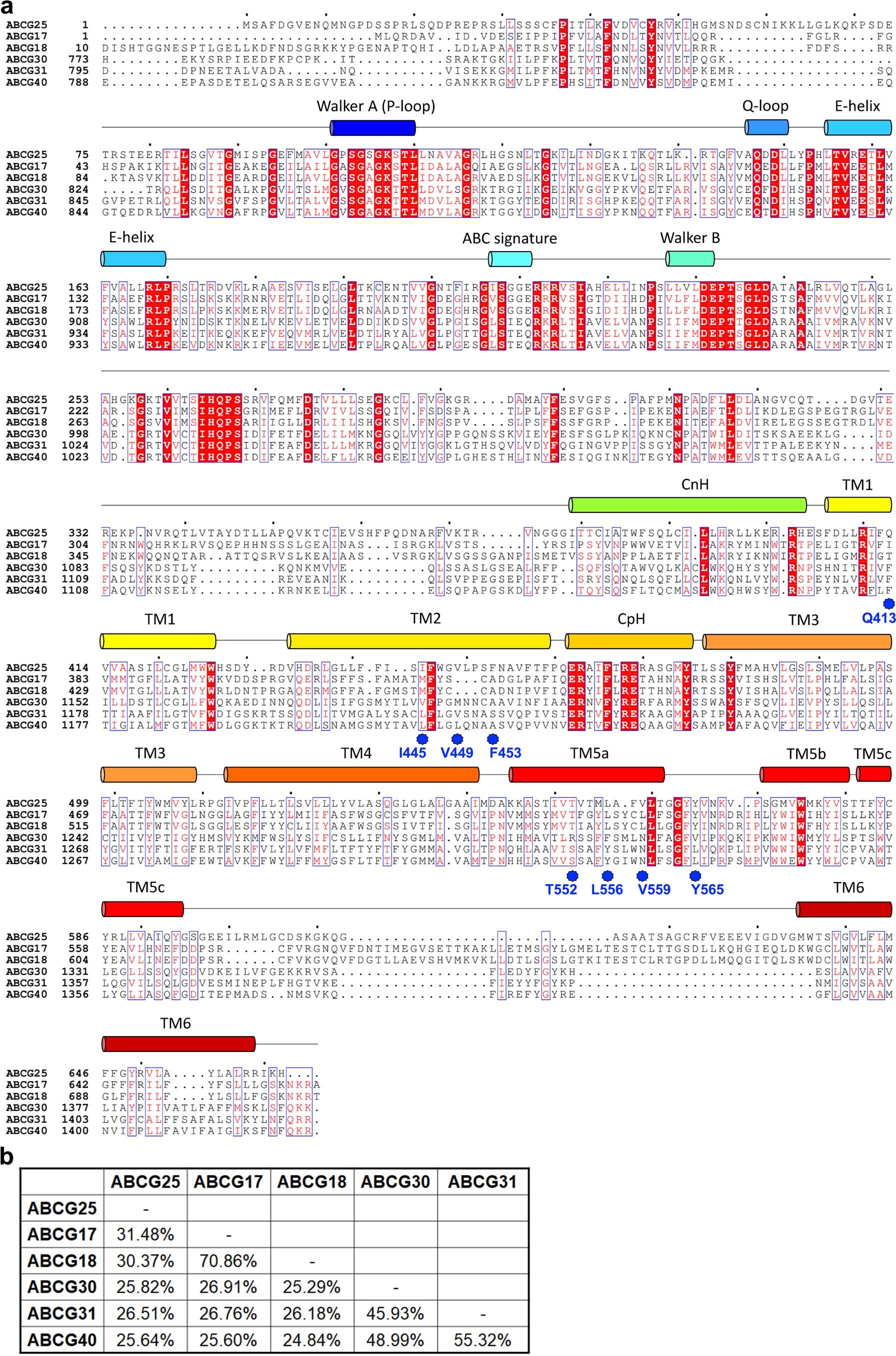 Extended Data Fig. 1: Sequence alignments of ABCG family ABA transporters in Arabidopsis thaliana.