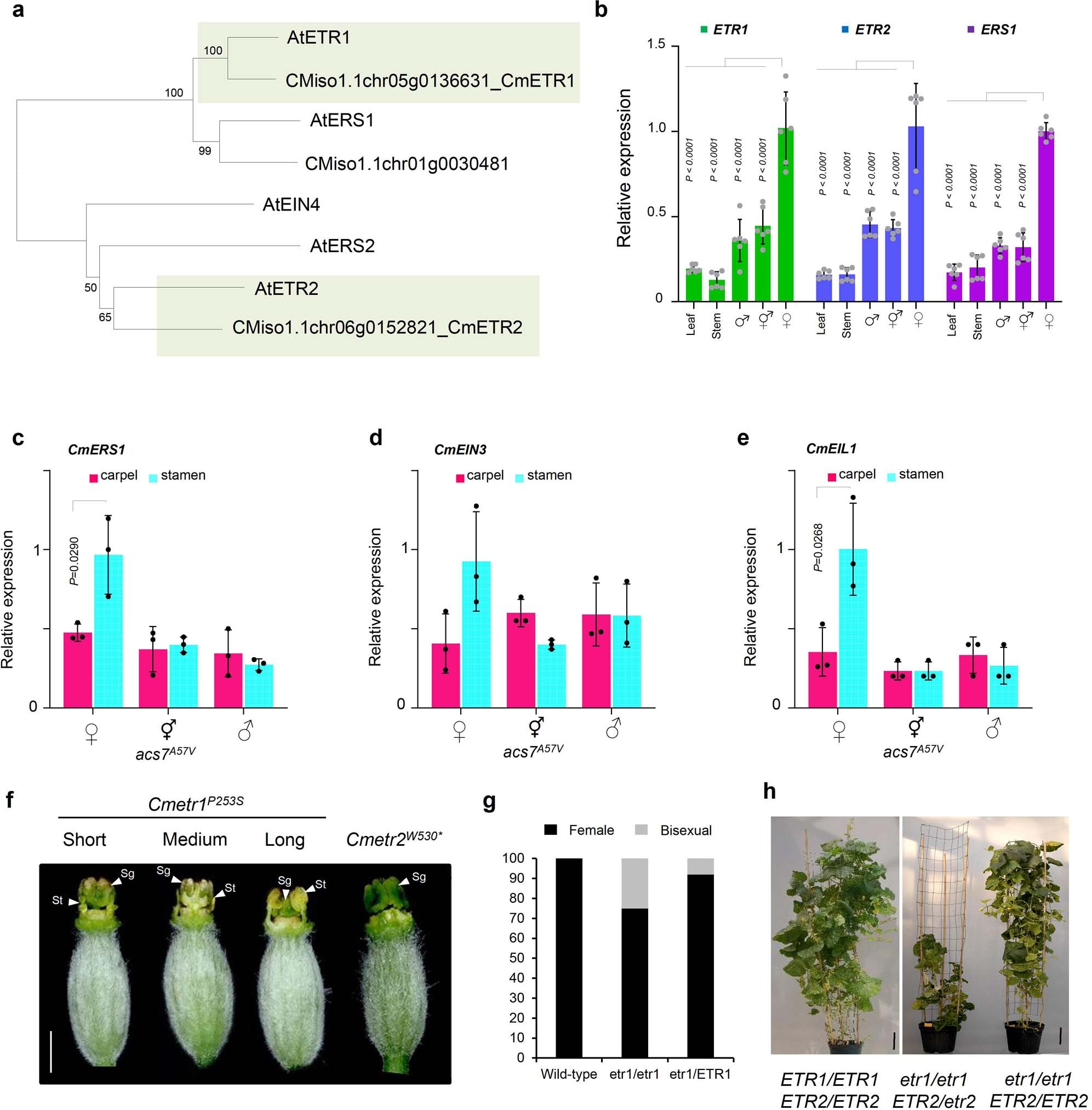 Extended Data Fig. 10