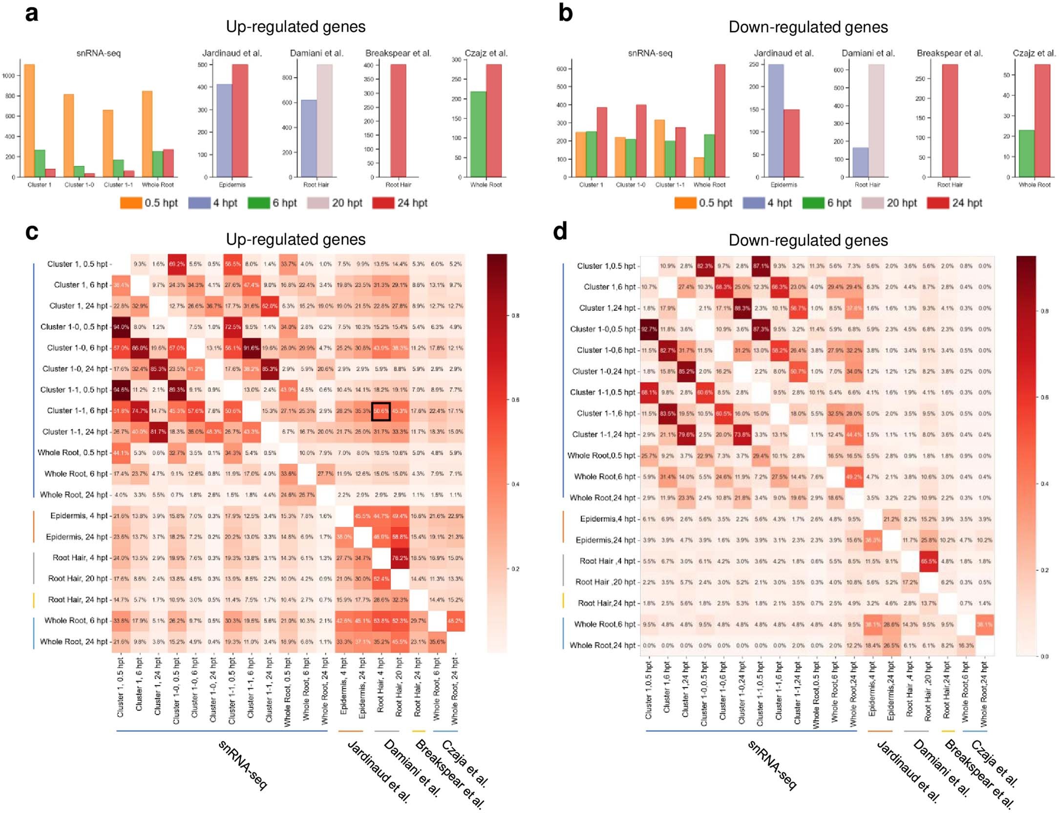Extended Data Fig. 5: Comparison of genes differentially expressed in response to NF treatment for snRNA-seq data and public single-cell-type transcriptome datasets.