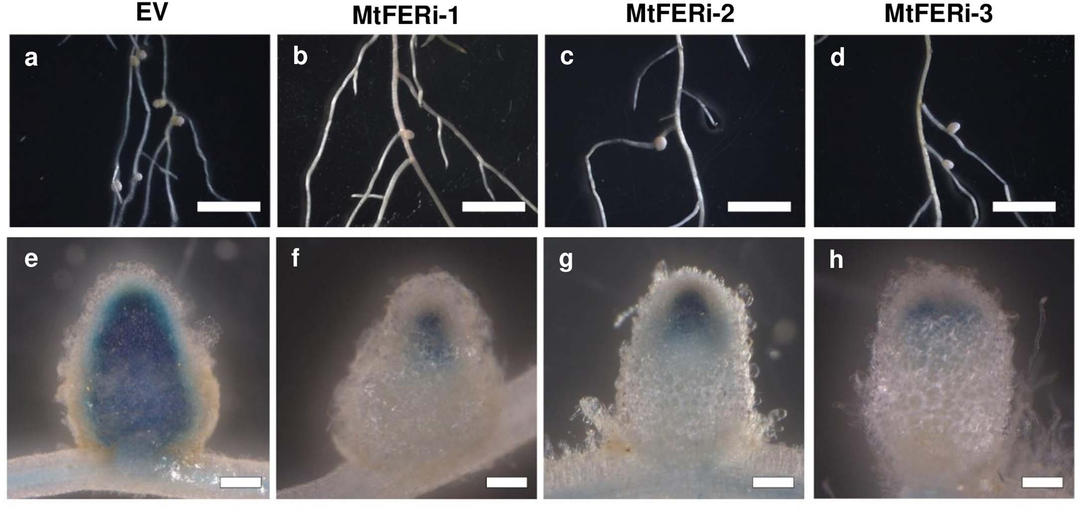 Extended Data Fig. 9
