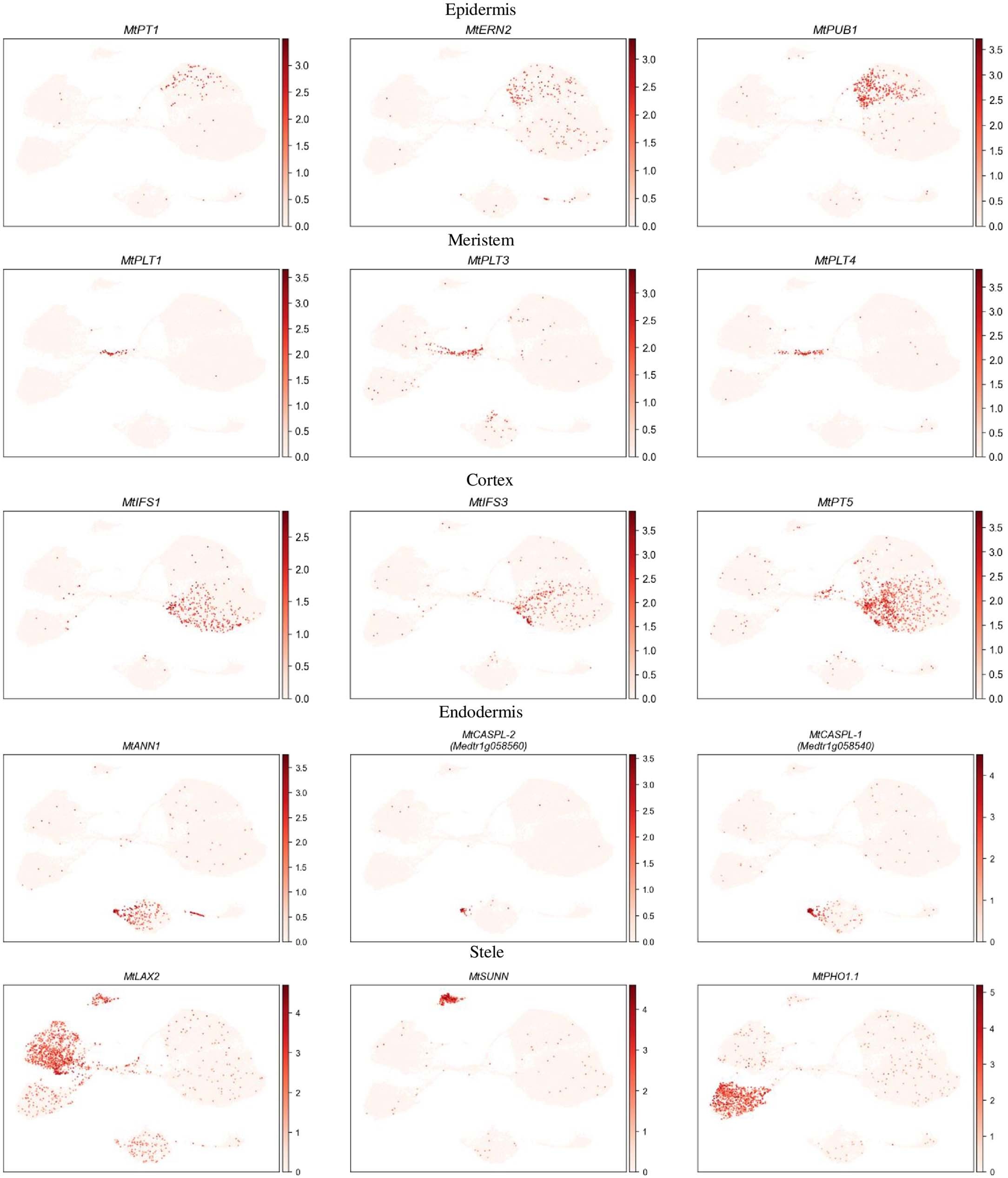 Extended Data Fig. 1