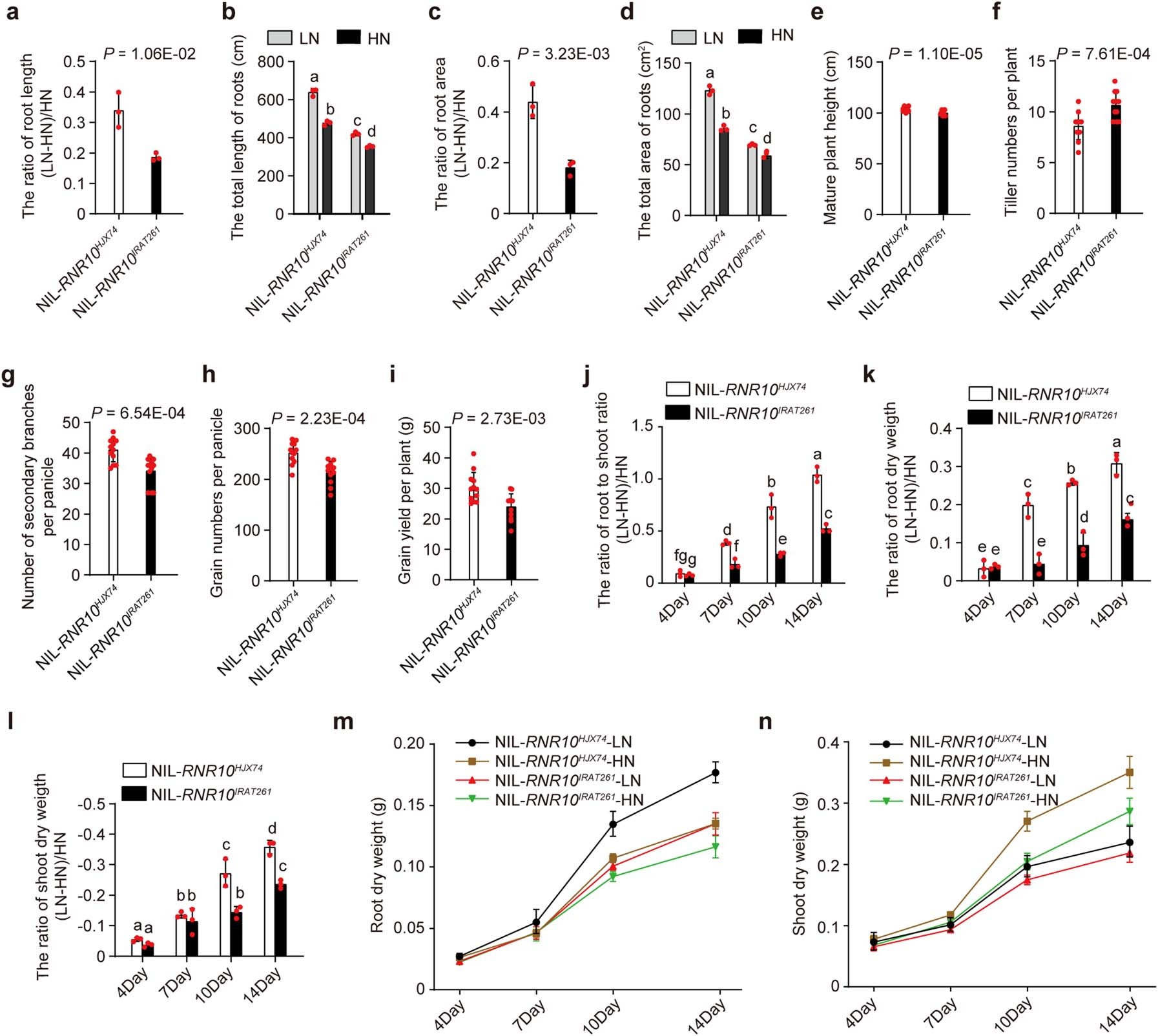 Extended Data Fig. 3: The root and shoot phenotypes of the NIL plants.