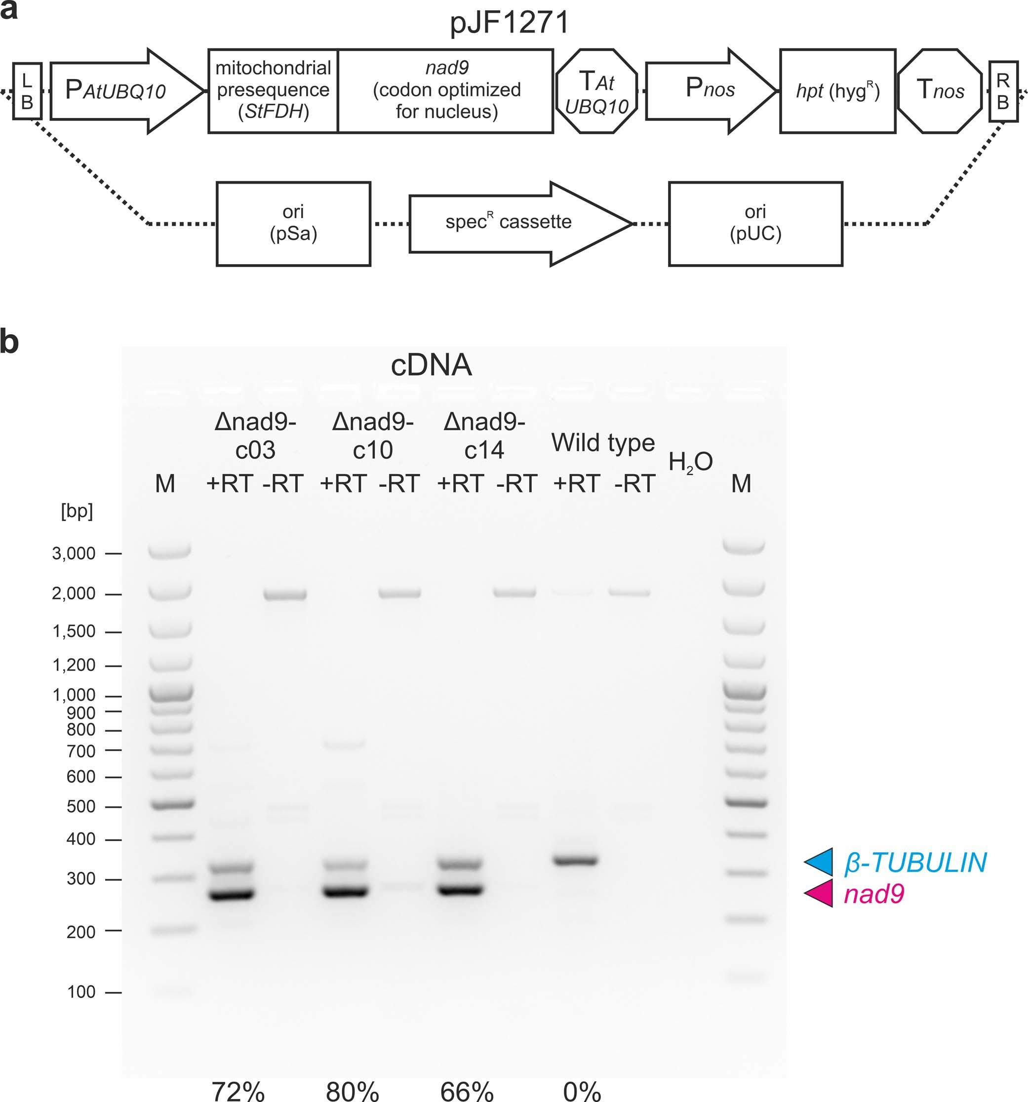 Extended Data Fig. 5: Allotopic expression of Nad9.