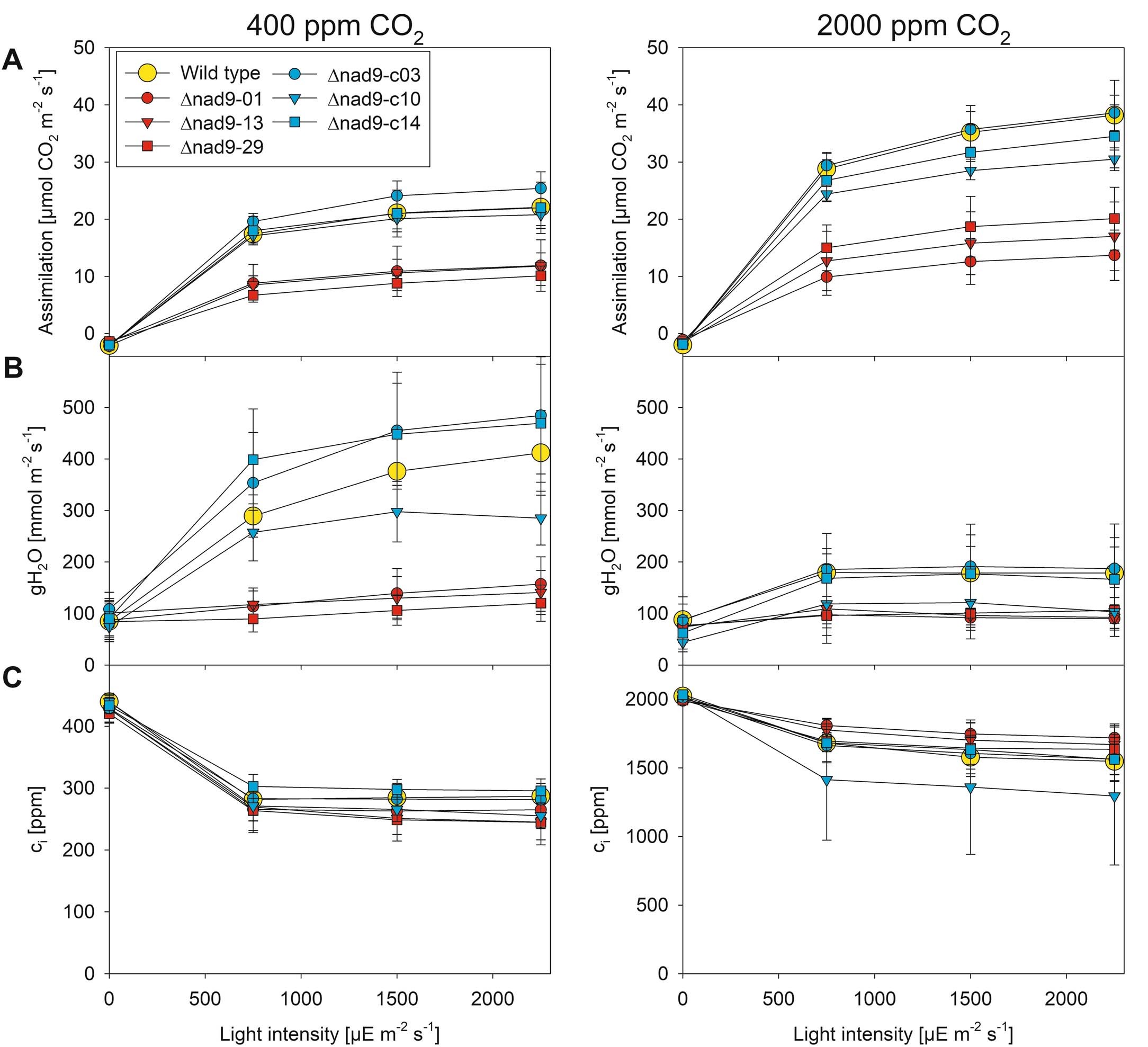 Extended Data Fig. 8: Characterization of gas exchange in mitochondrial nad9 mutants in comparison to the wild type and three allotopically complemented lines.