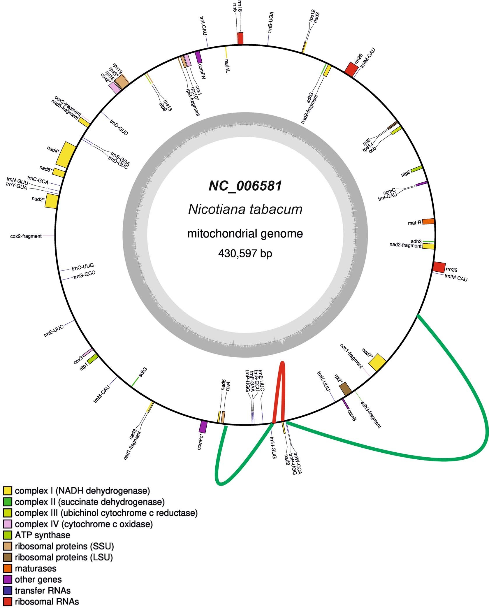 Extended Data Fig. 1: Mitochondrial genome configuration in mutant line Δnad9-01.