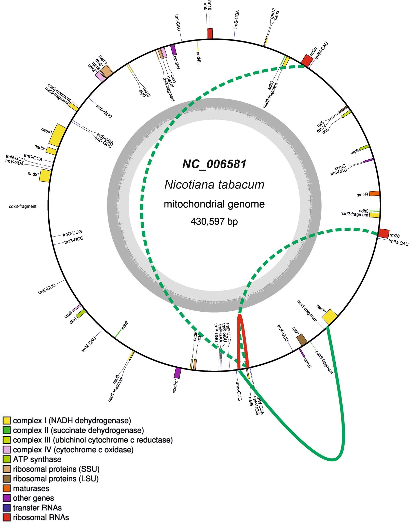 Extended Data Fig. 2 : Mitochondrial genome configuration in mutant line Δnad9-13.