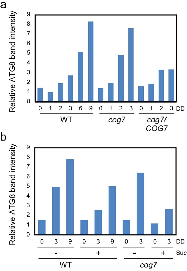 Extended Data Fig. 2
