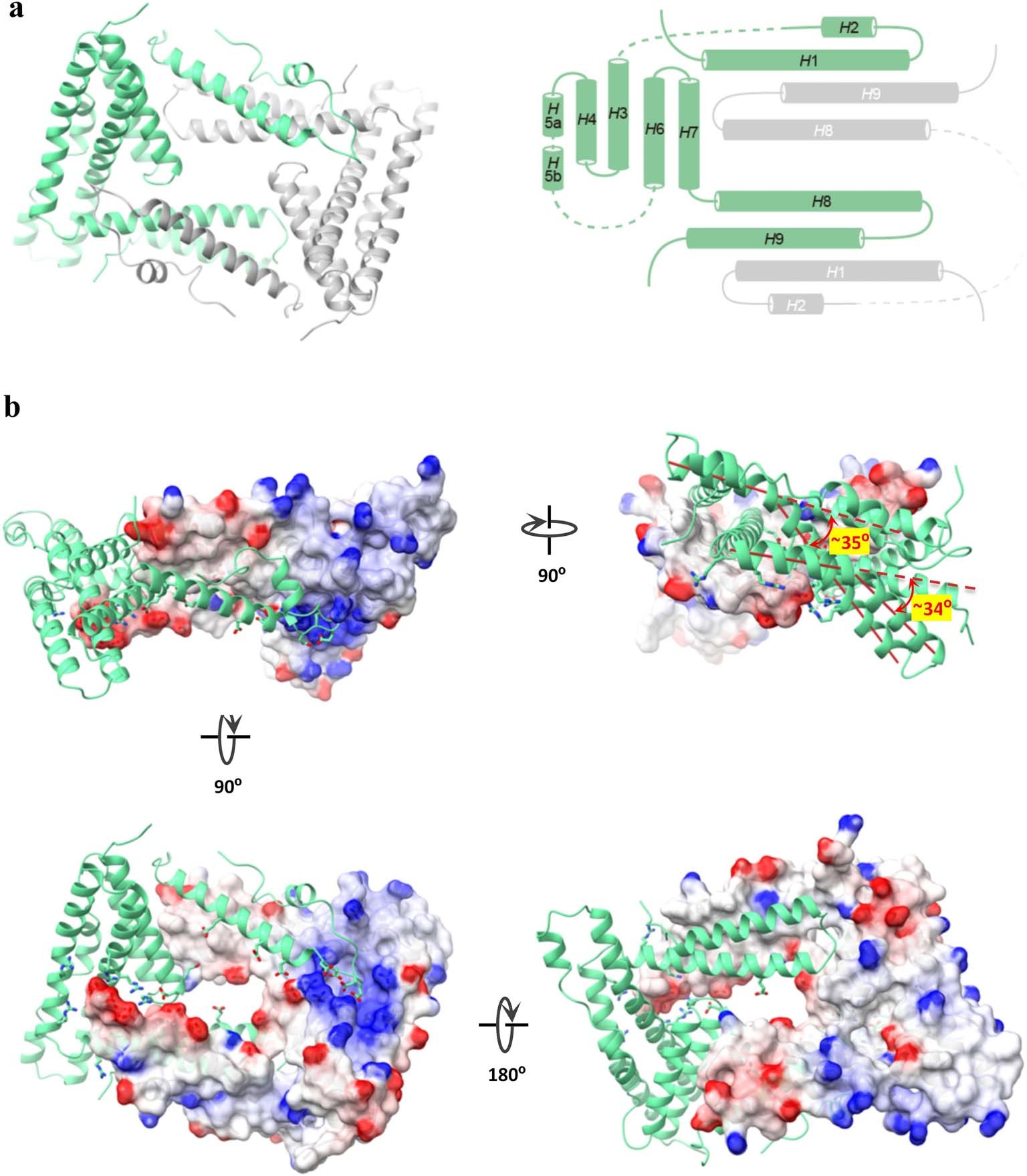 Extended Data Fig. 6