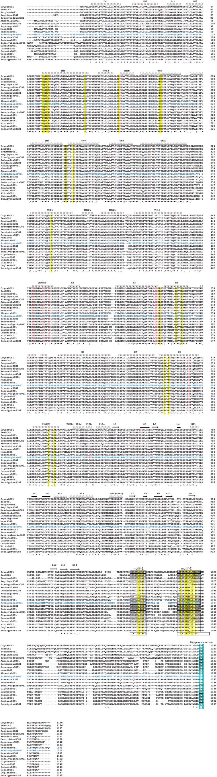 Extended Data Fig. 1