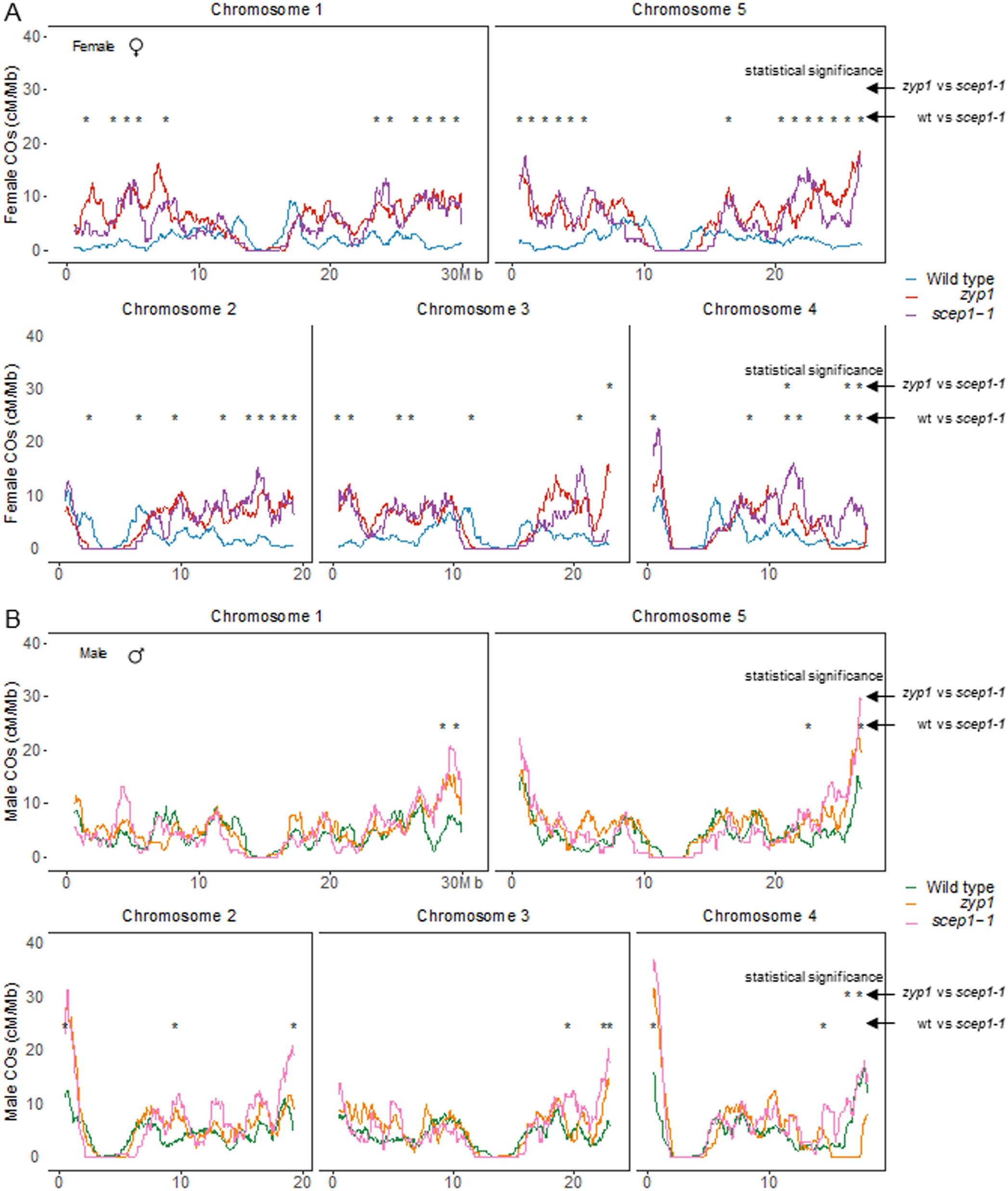 Extended Data Fig. 3: The distribution of COs along the five chromosomes.