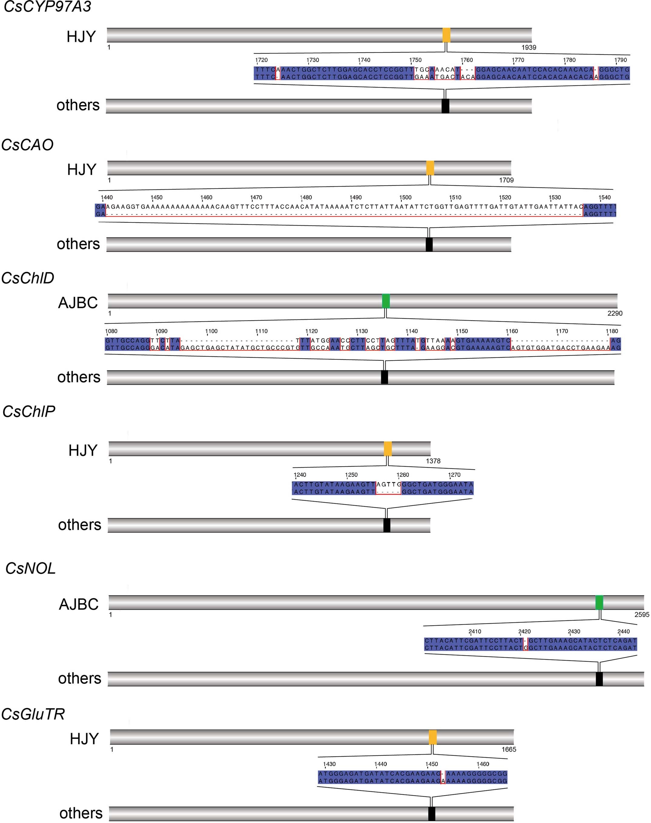 Extended Data Fig. 6