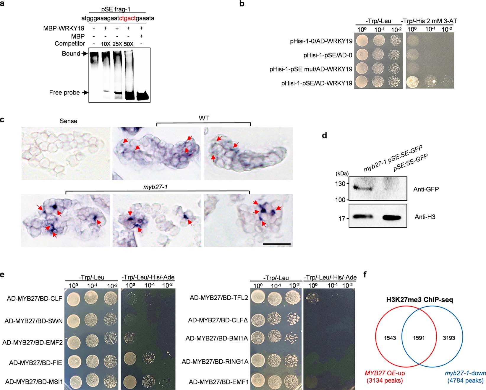 Extended Data Fig. 6
