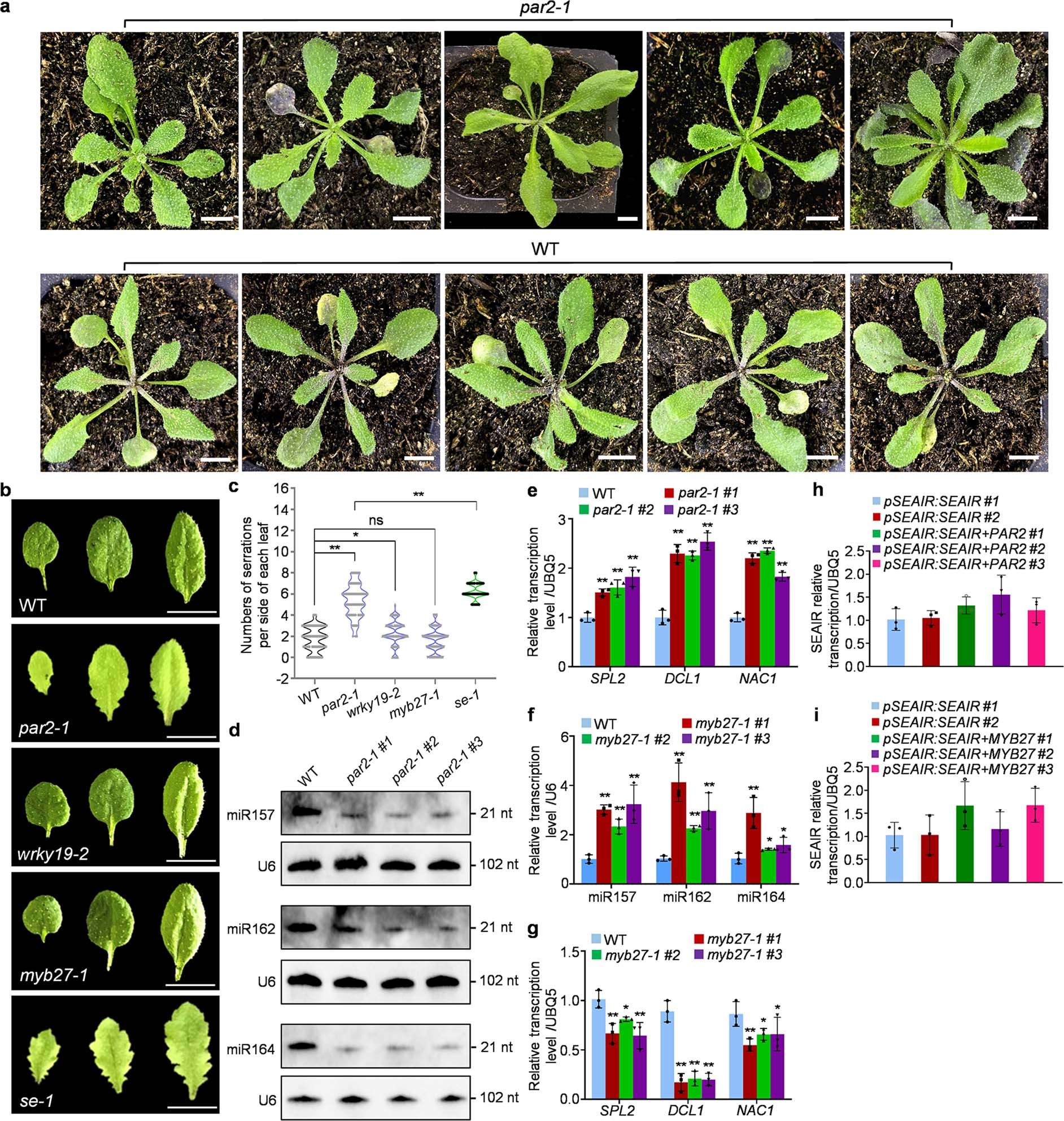 Extended Data Fig. 2