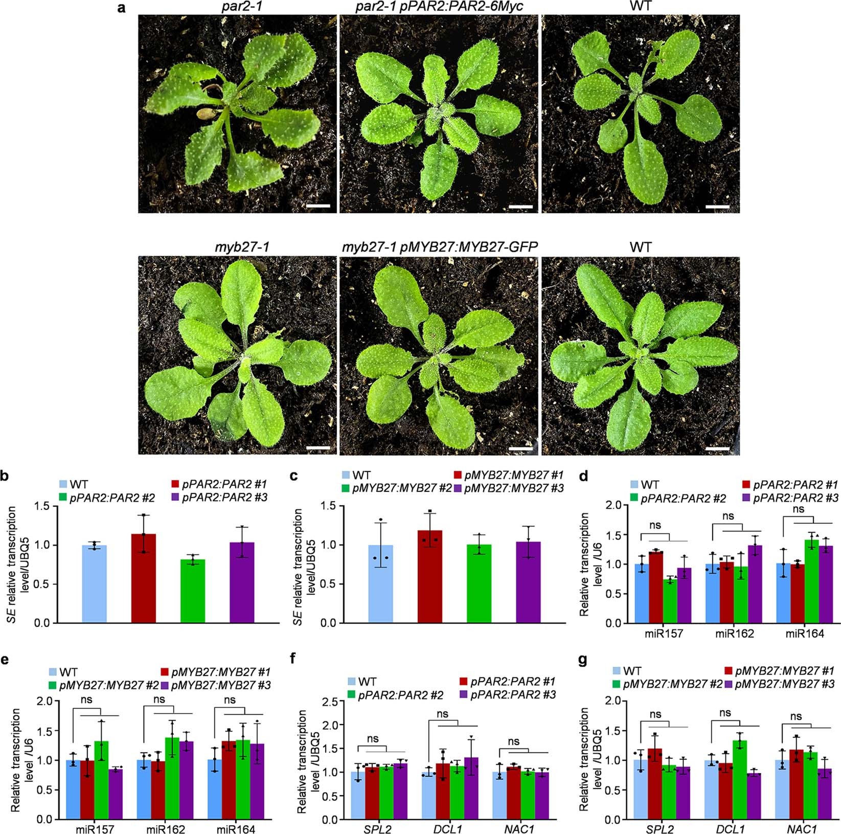 Extended Data Fig. 3