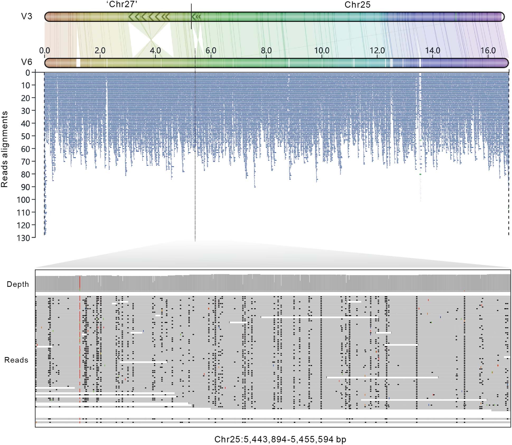 Extended Data Fig. 6