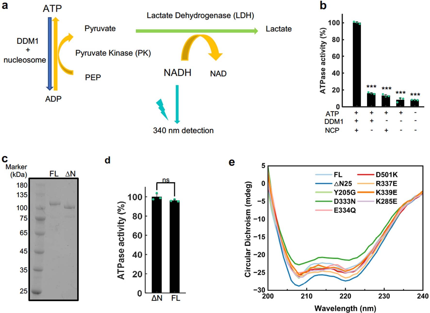 Extended Data Fig. 1