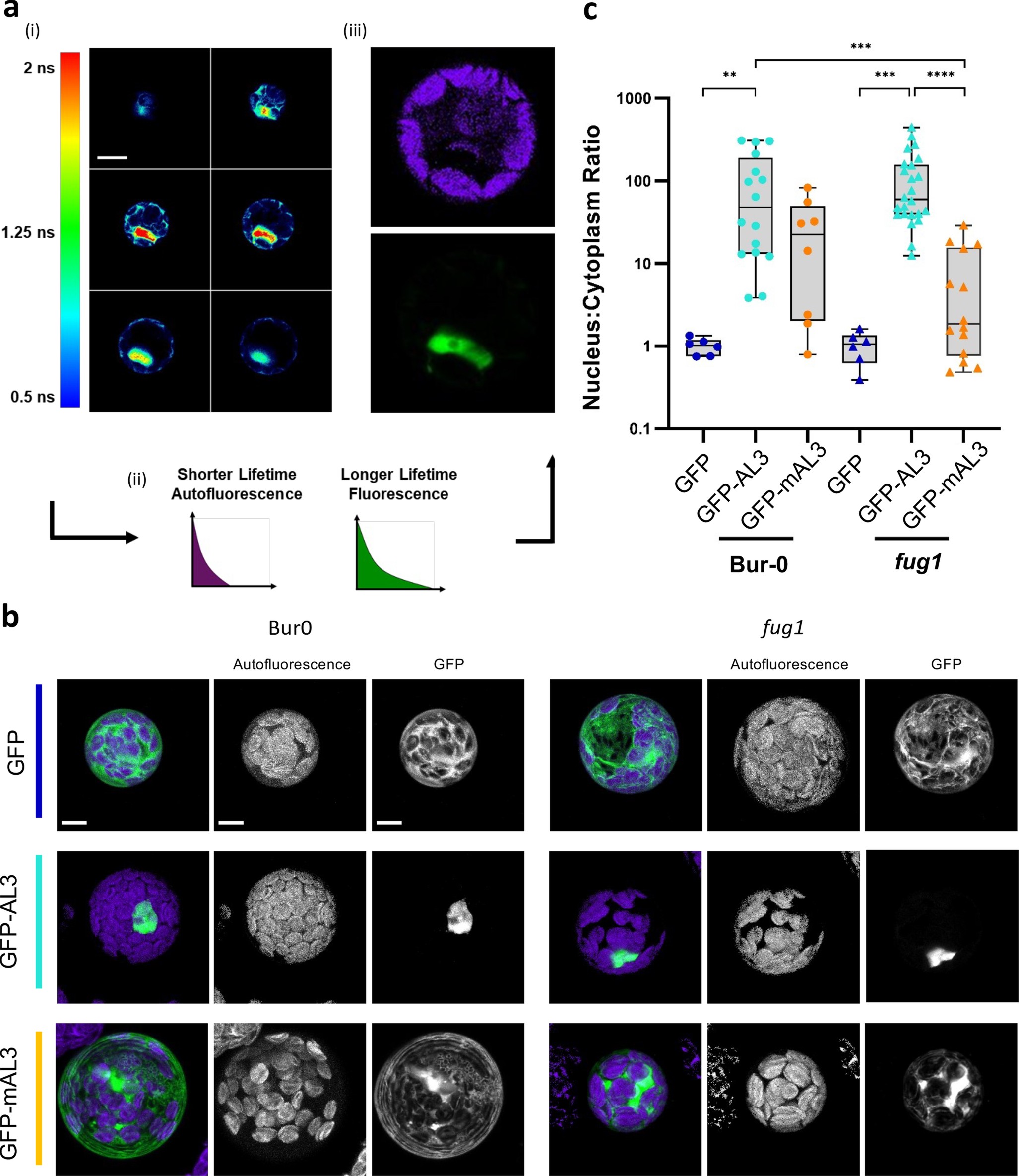 Extended Data Fig. 5