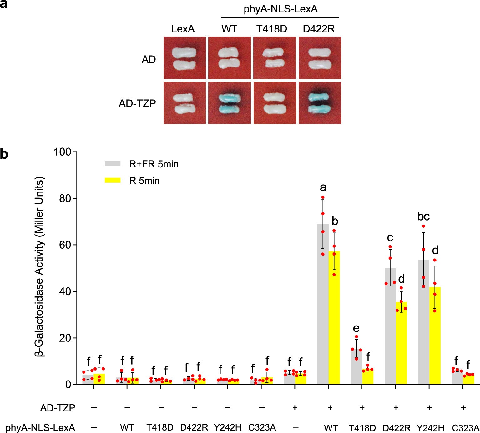 Extended Data Fig. 4