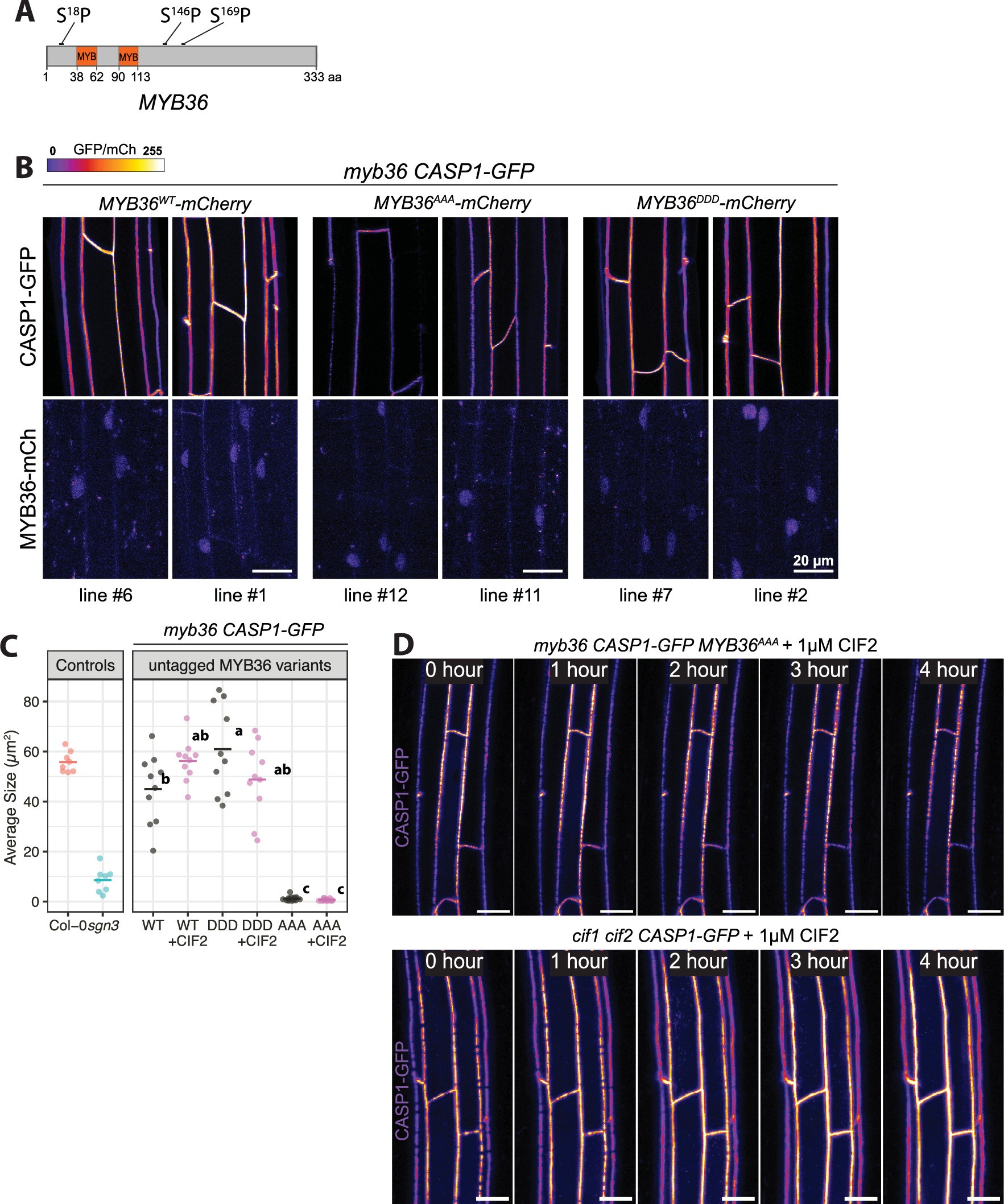 Extended Data Fig. 3