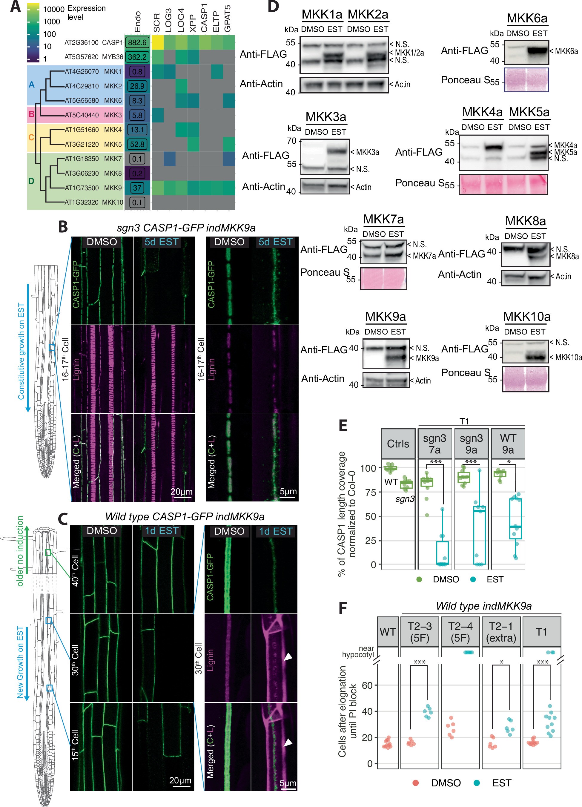 Extended Data Fig. 6
