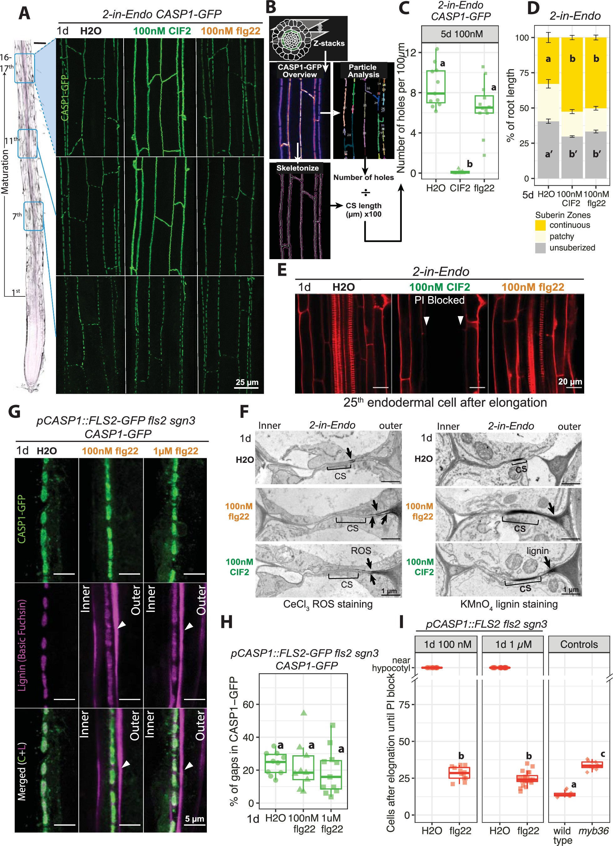 Extended Data Fig. 1