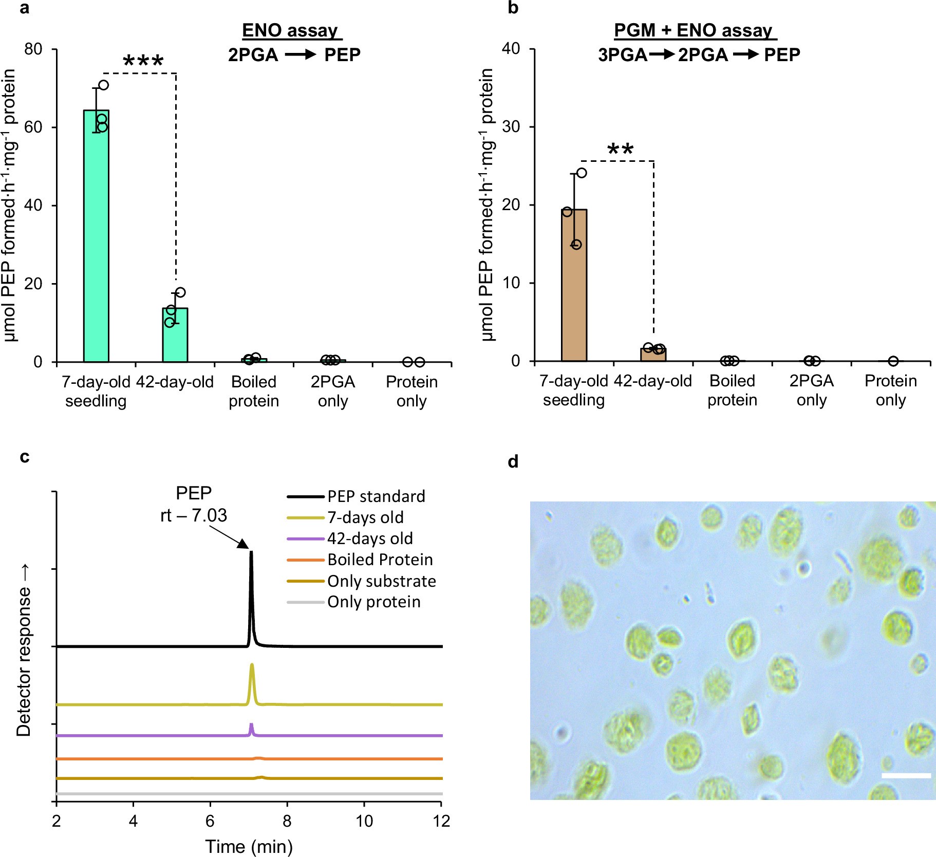 Extended Data Fig. 1